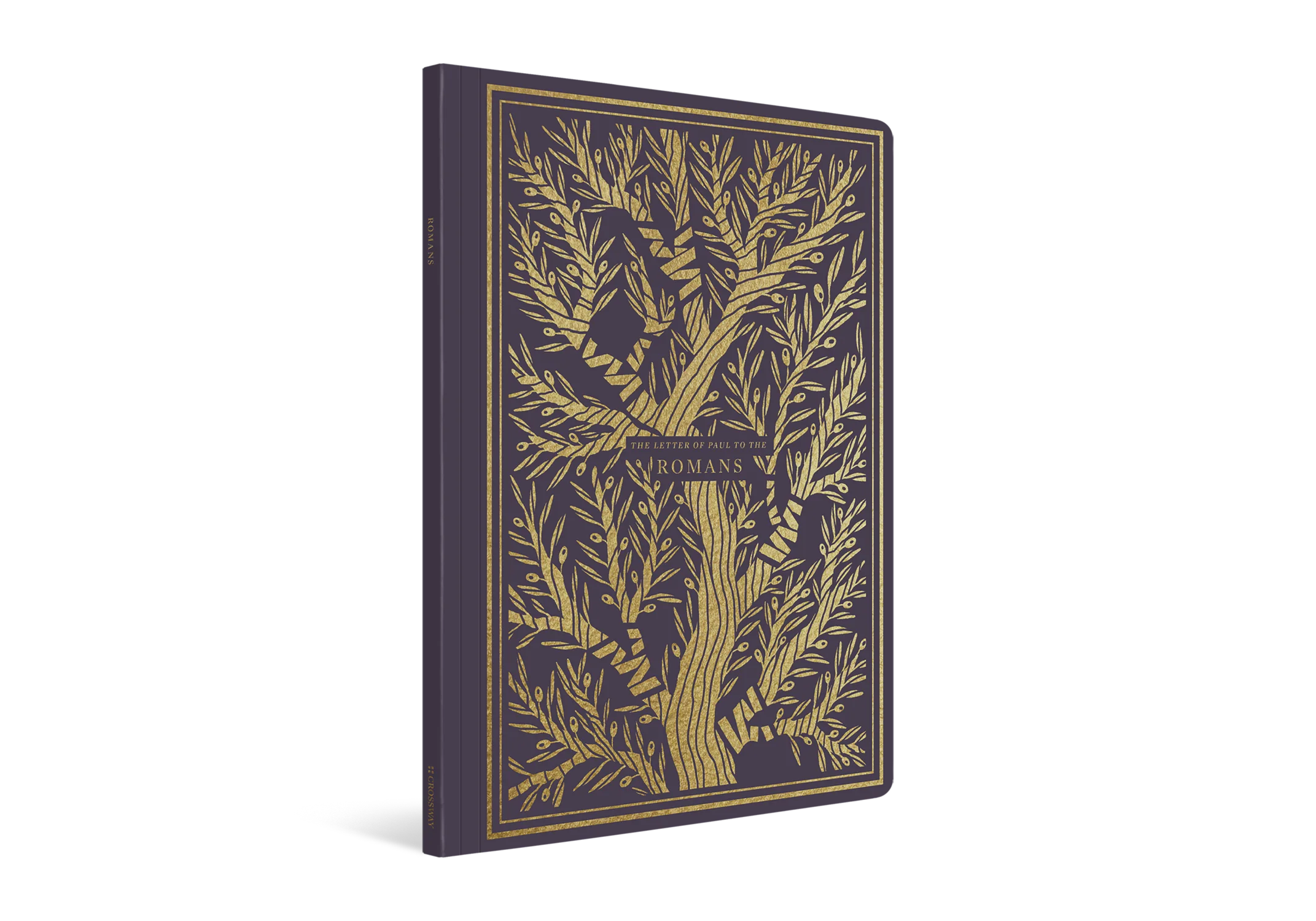 ESV Illuminated Scripture Journal: Romans (Paperback) - Image 2