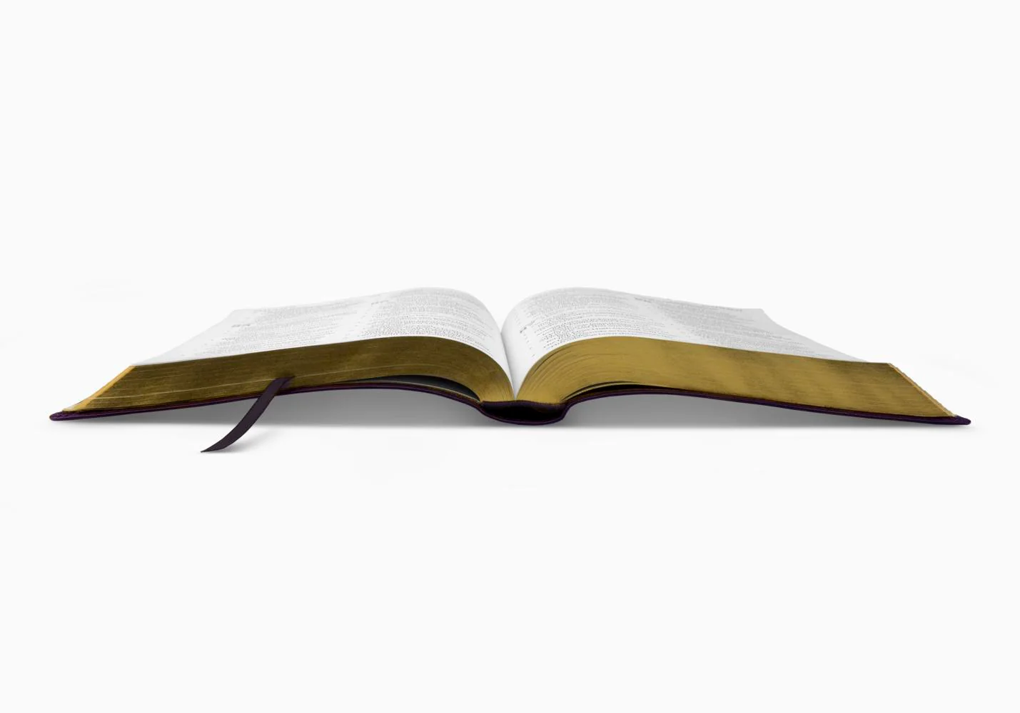 ESV Large Print Bible (Trutone, Lavender, Emblem Design) - Image 3