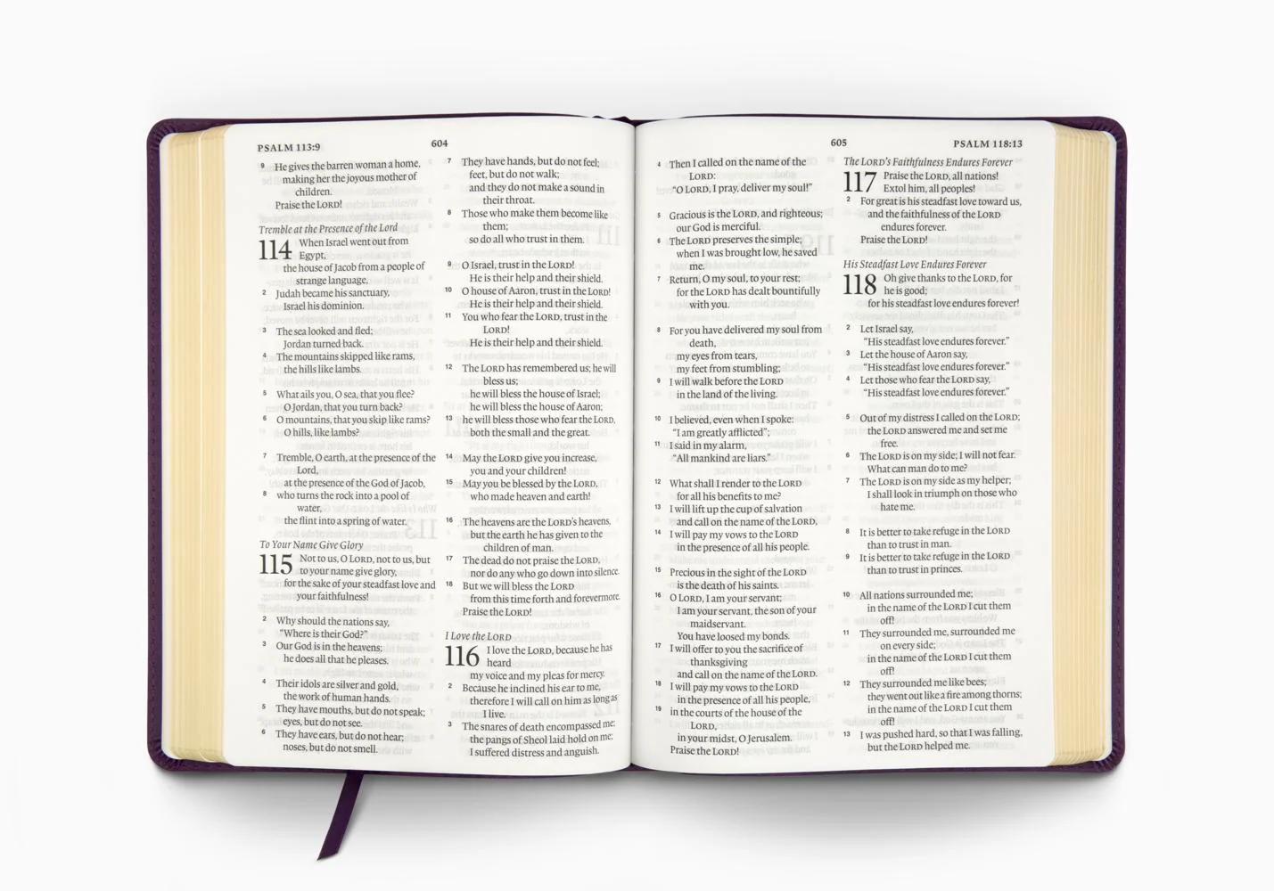 ESV Large Print Bible (Trutone, Lavender, Emblem Design) - Image 6