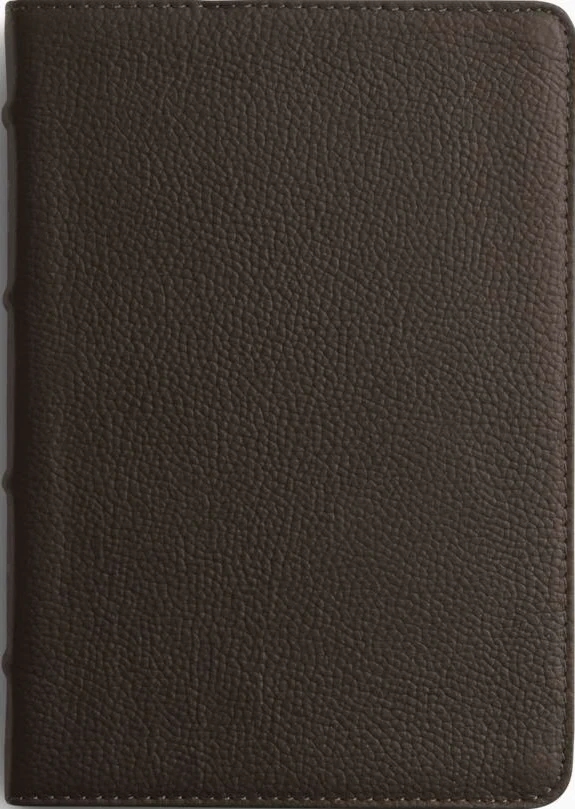ESV Large Print Compact Bible, Red Letter (Buffalo Leather, Deep Brown)