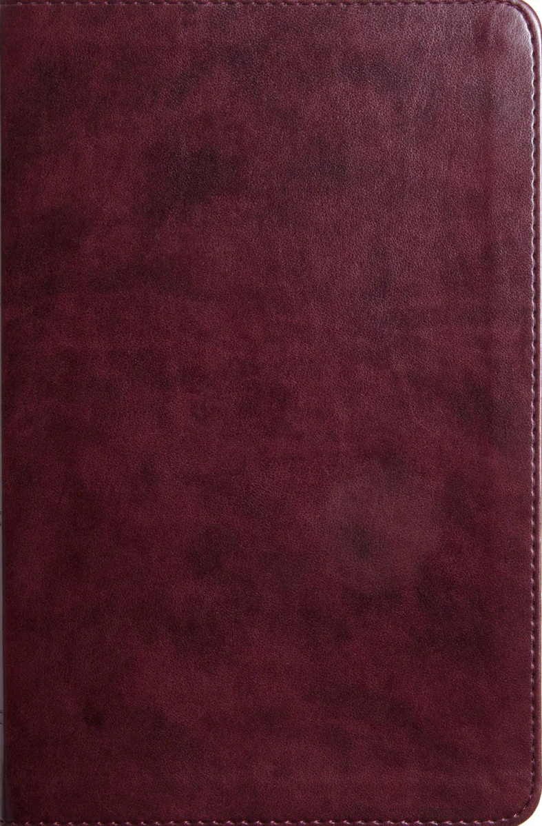 ESV Large Print Thinline Bible (Trutone, Mahogany) - Image 2
