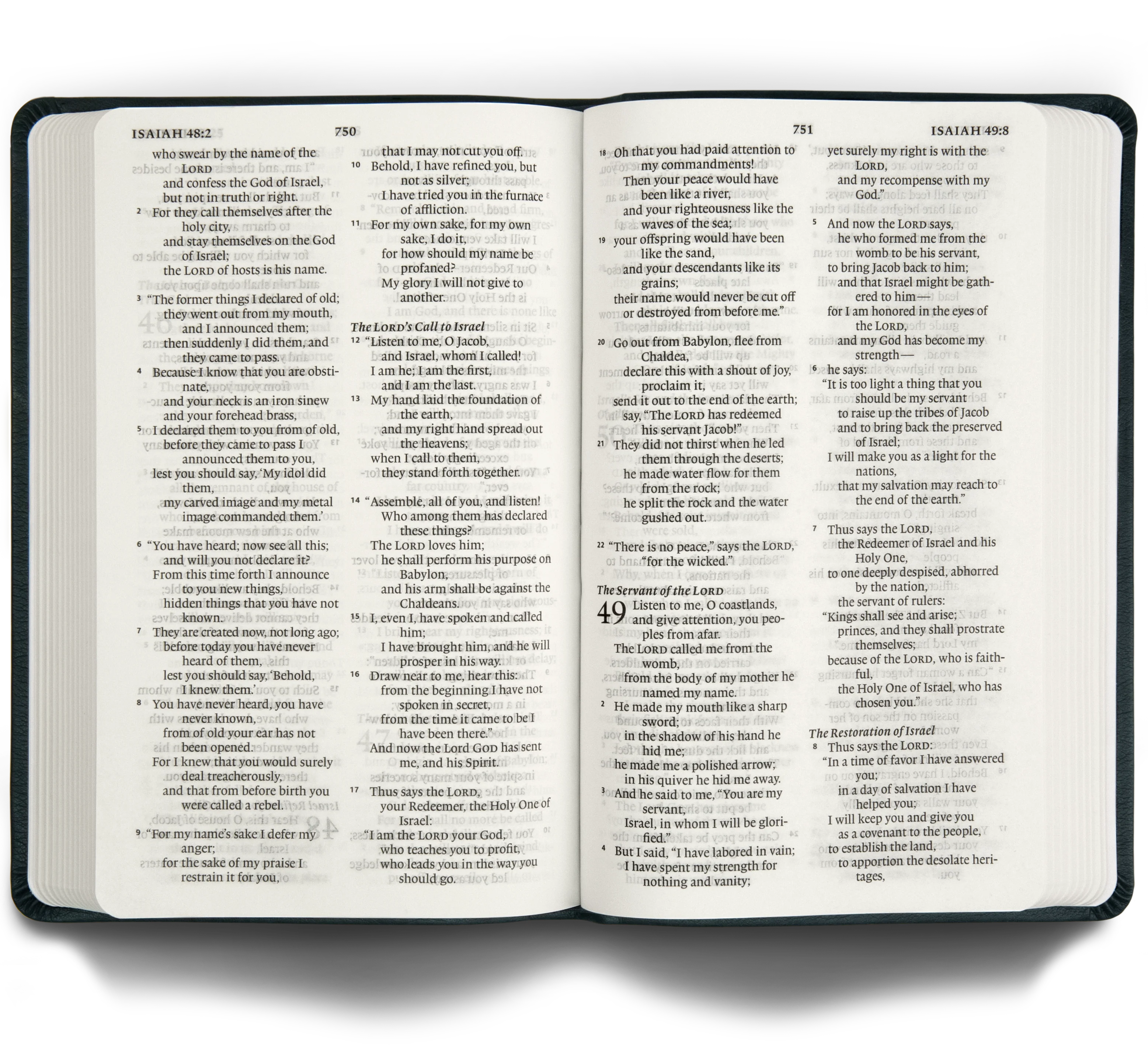 ESV Large Print Value Thinline Bible (Trutone, Camel) - Image 2