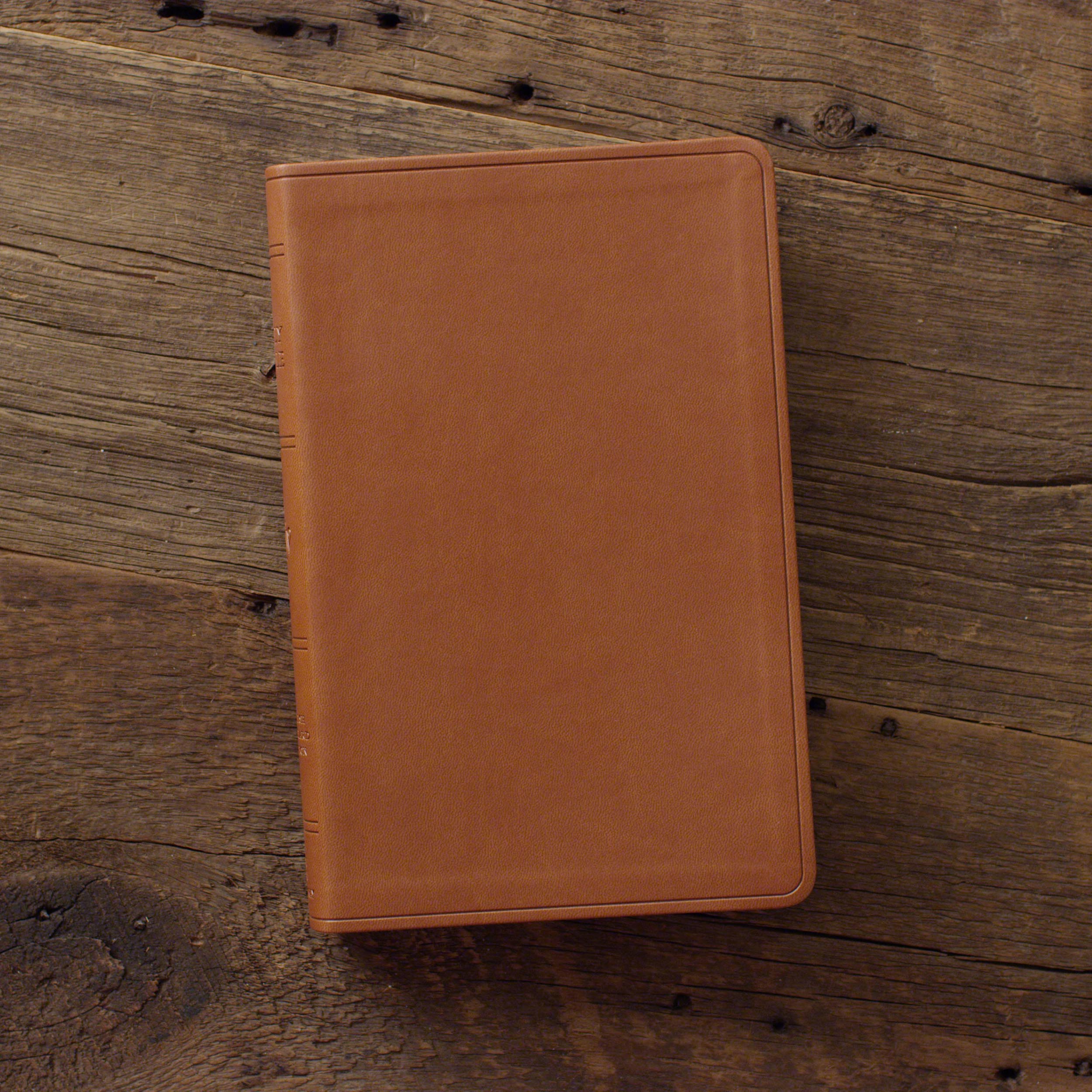 ESV Large Print Value Thinline Bible (Trutone, Camel) - Image 3