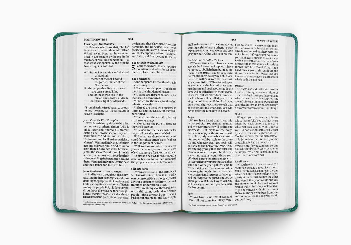 ESV Large Print Value Thinline Bible (TruTone, Turquoise, Emblem Design) - Image 2