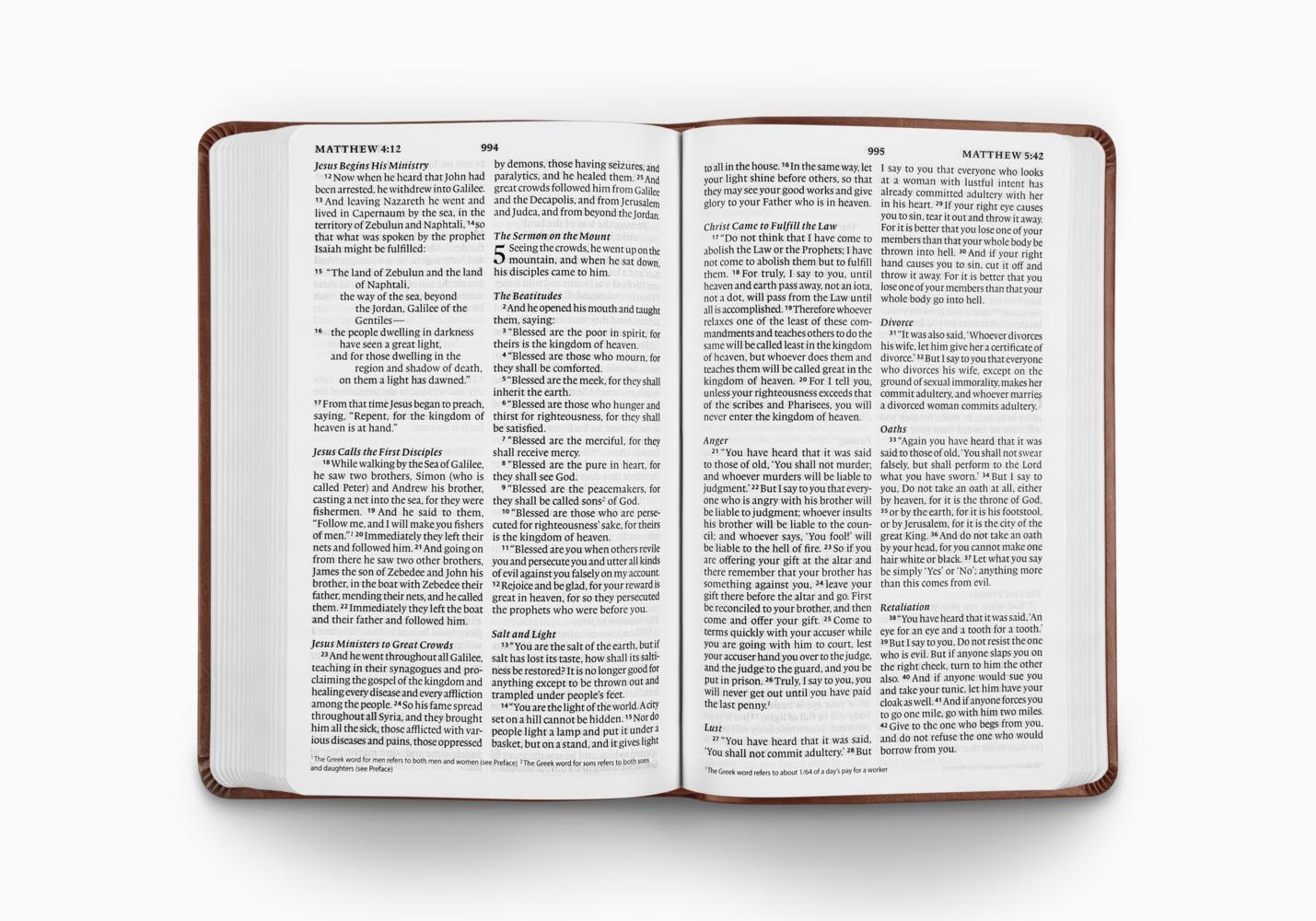 ESV Large Print Value Thinline Bible (TruTone, Chestnut) - Image 3