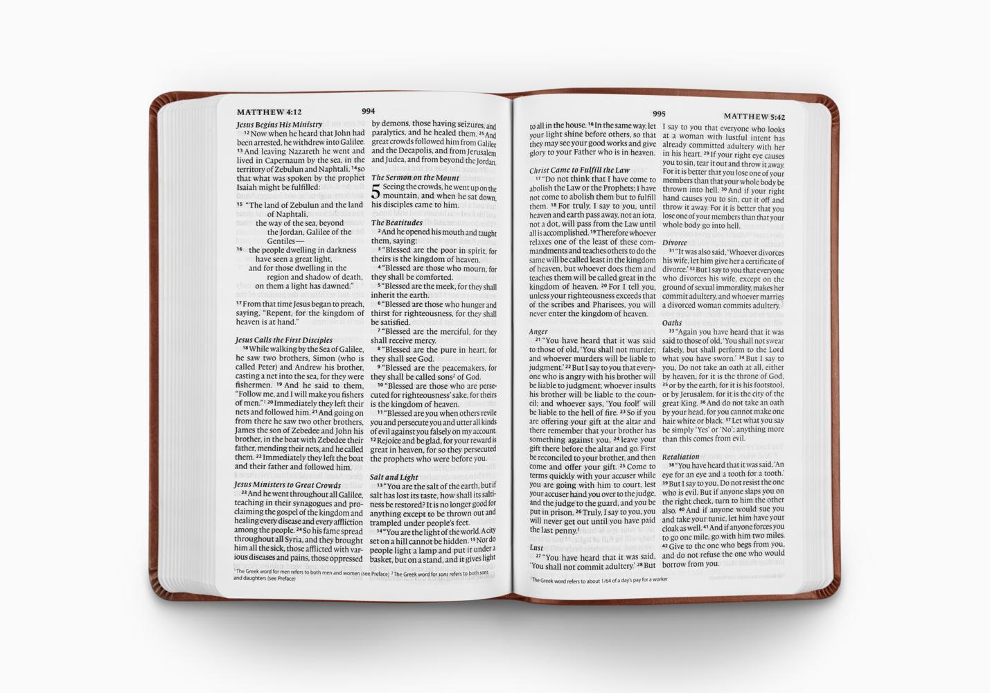 ESV Large Print Value Thinline Bible (TruTone, Tan, Ornament Design) - Image 2