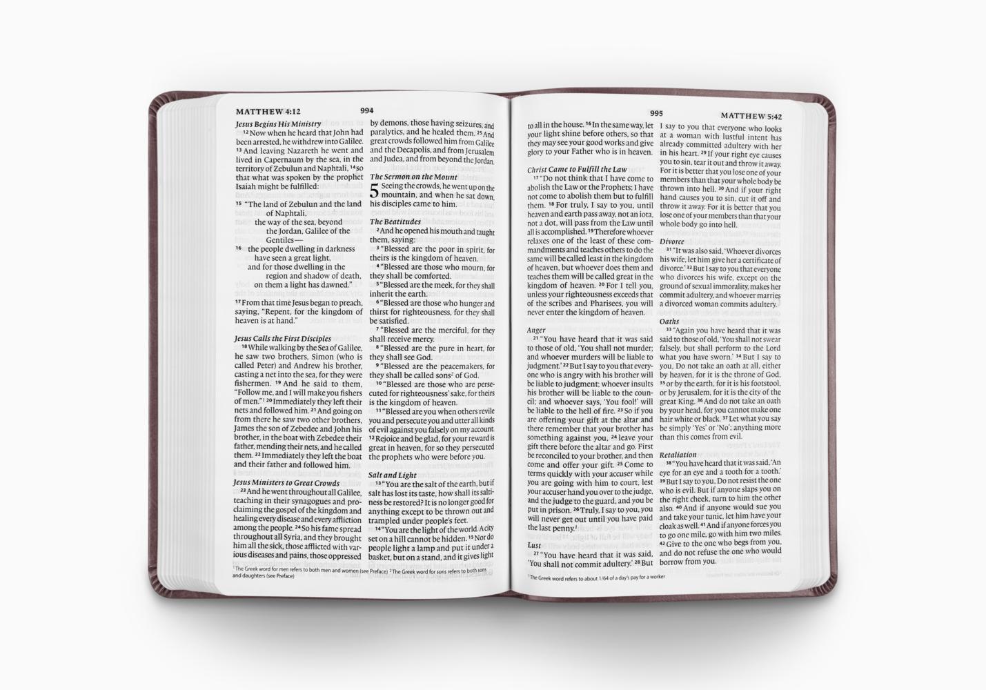 ESV Large Print Value Thinline Bible (TruTone, Mahogany, Border Design) - Image 2