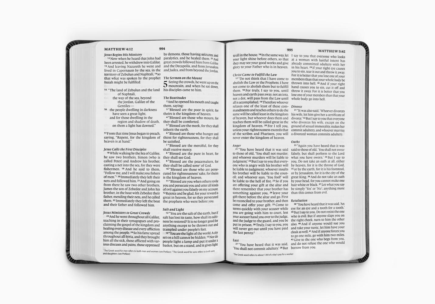 ESV Large Print Value Thinline Bible (TruTone, Black) - Image 2