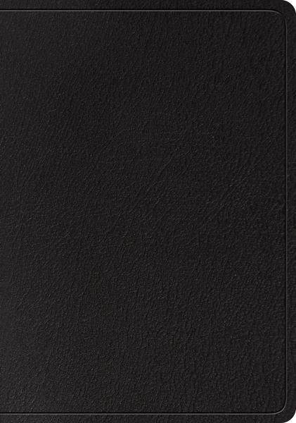 ESV Large Print Wide Margin Bible (Genuine Leather, Black)