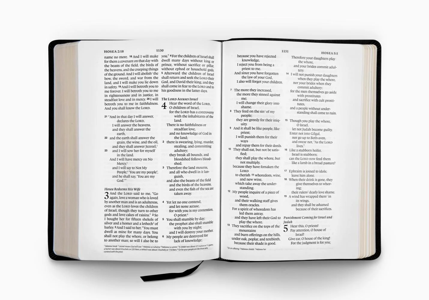 ESV Large Print Wide Margin Bible (Genuine Leather, Black) - Image 2