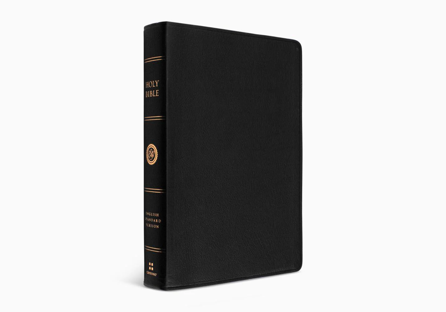 ESV Large Print Wide Margin Bible (Genuine Leather, Black) - Image 3