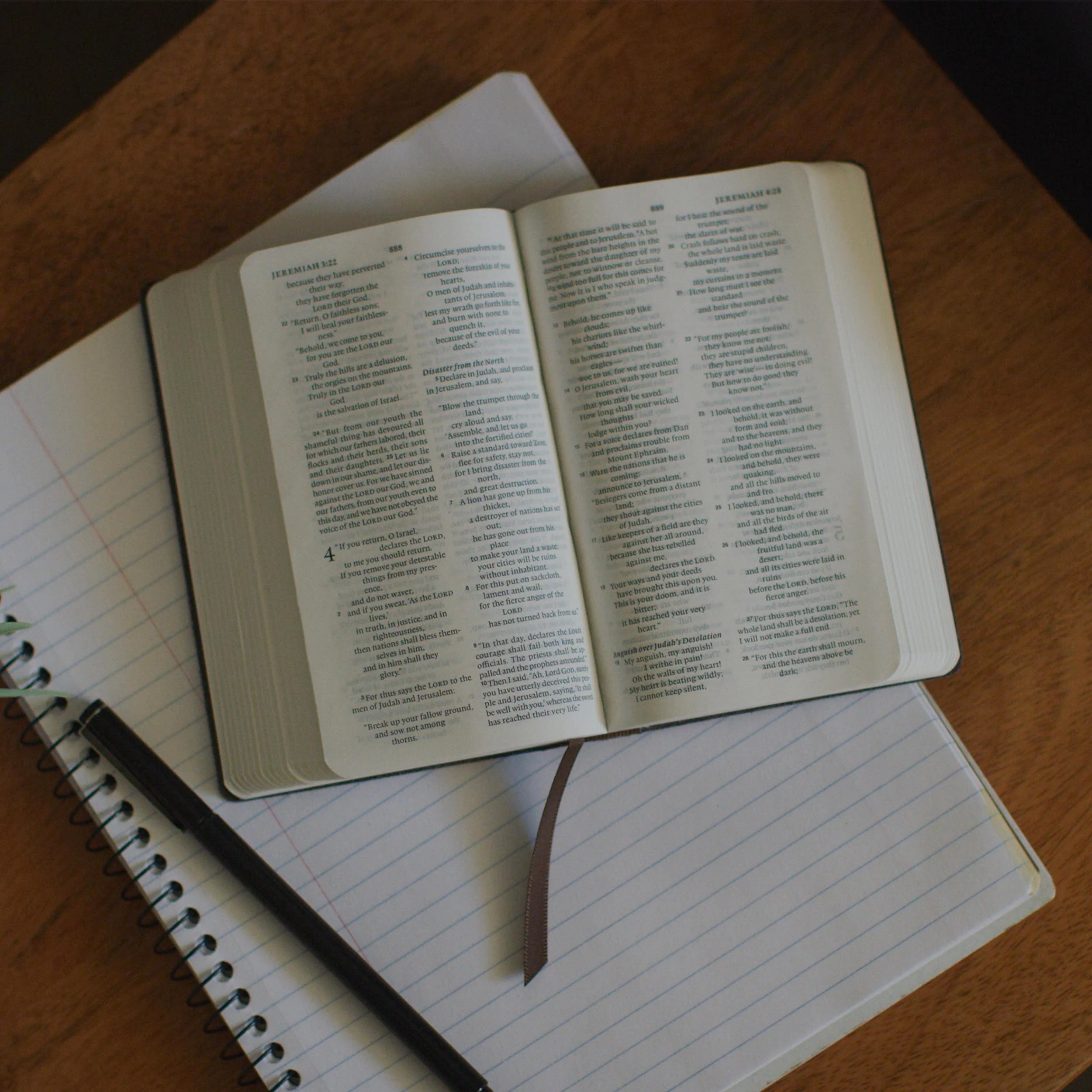 ESV Pocket Bible (Buffalo Leather, Deep Brown) - Image 6