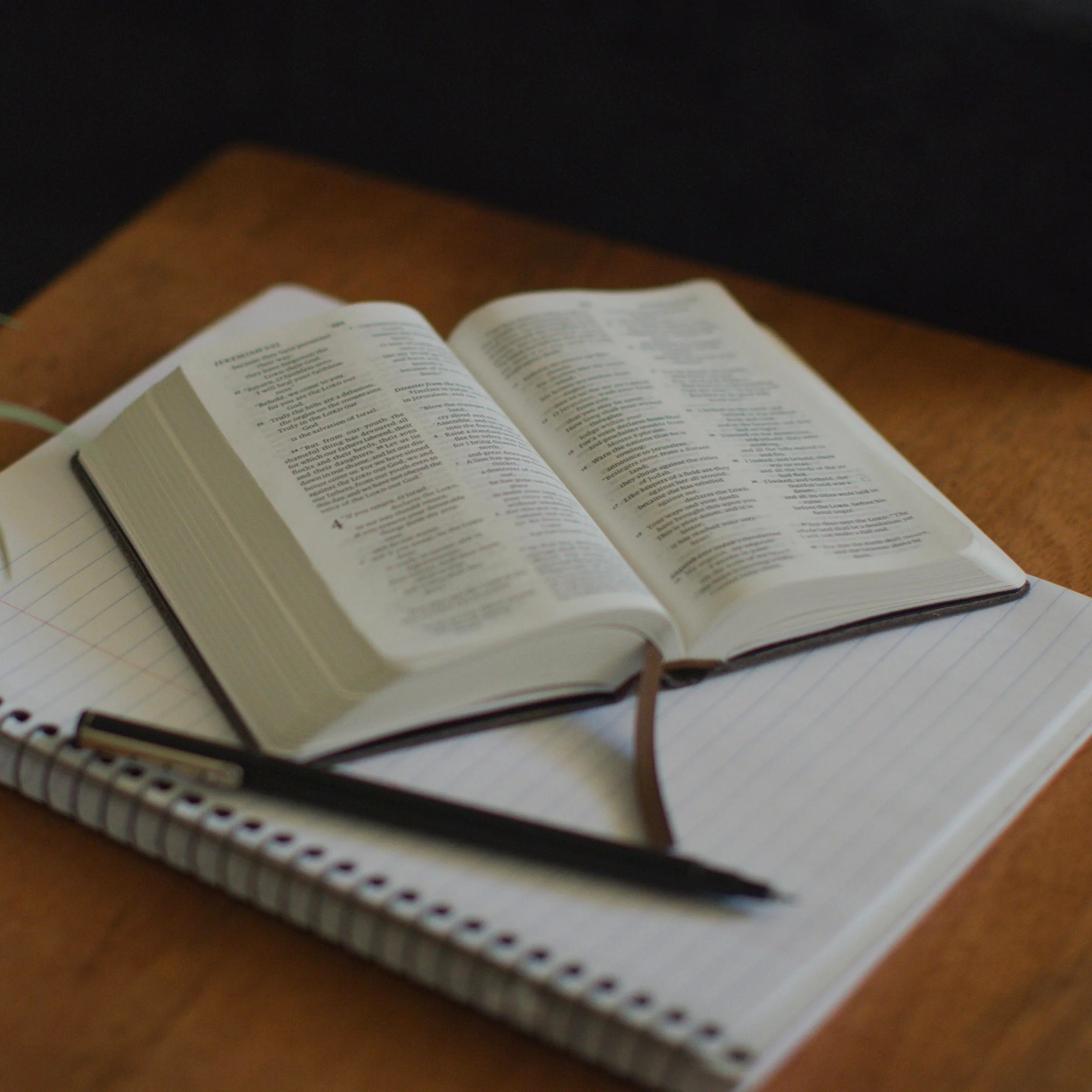 ESV Pocket Bible (Buffalo Leather, Deep Brown) - Image 8