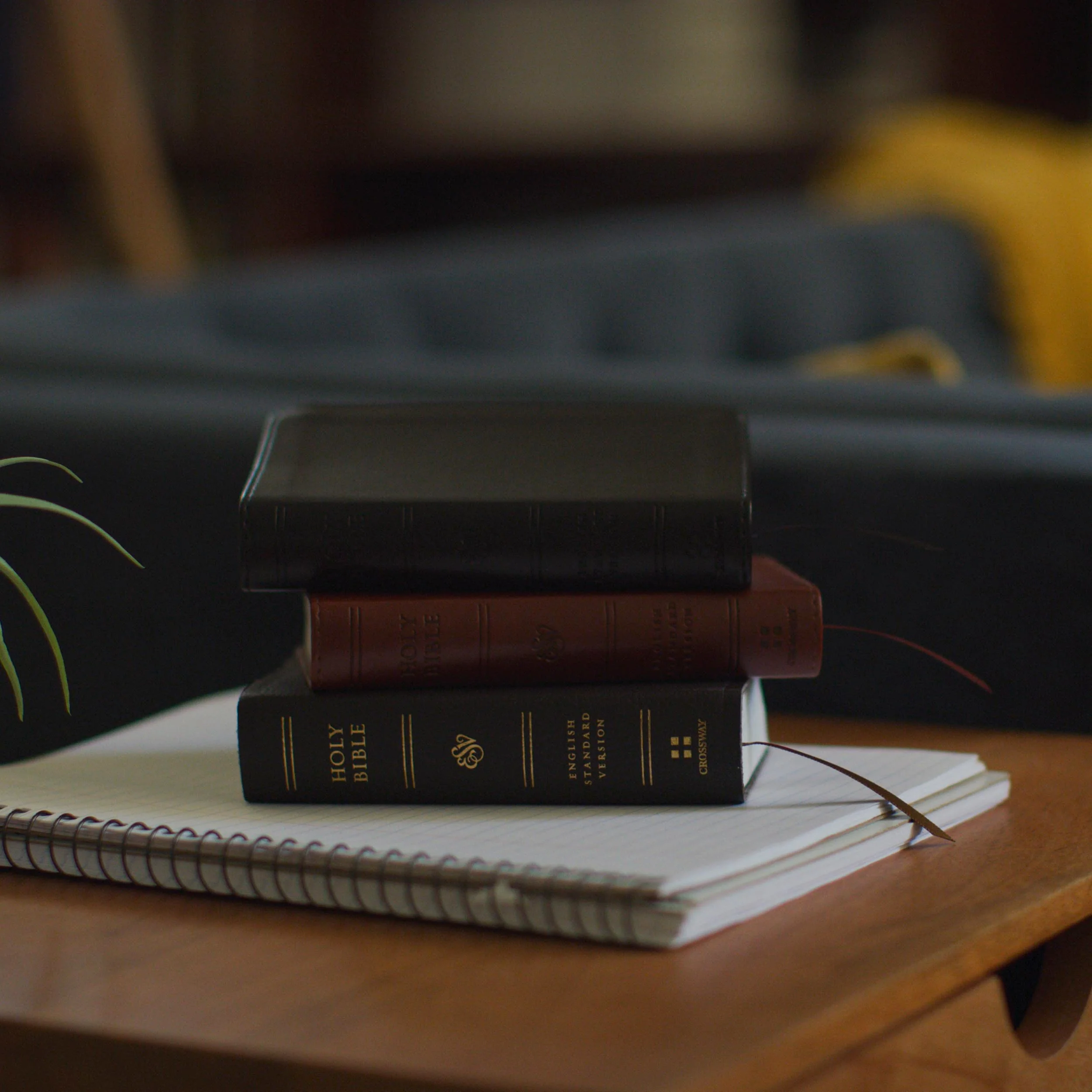 ESV Pocket Bible (Trutone, Black) - Image 7