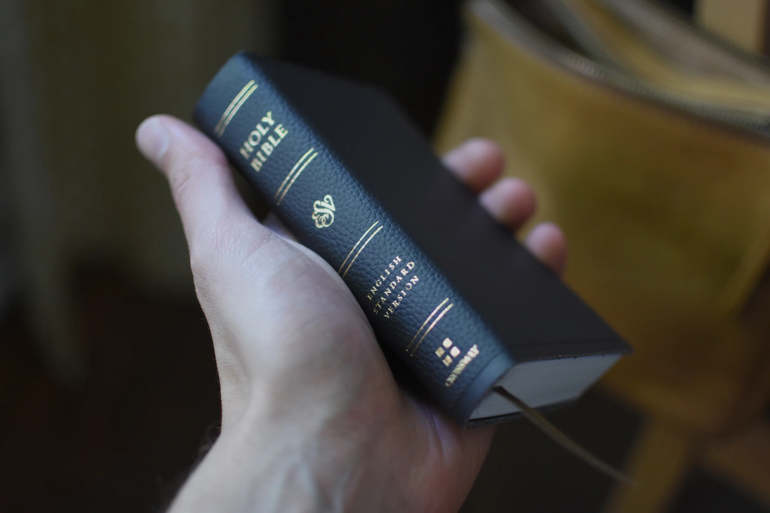 ESV Pocket Bible (Trutone, Chestnut) - Image 11