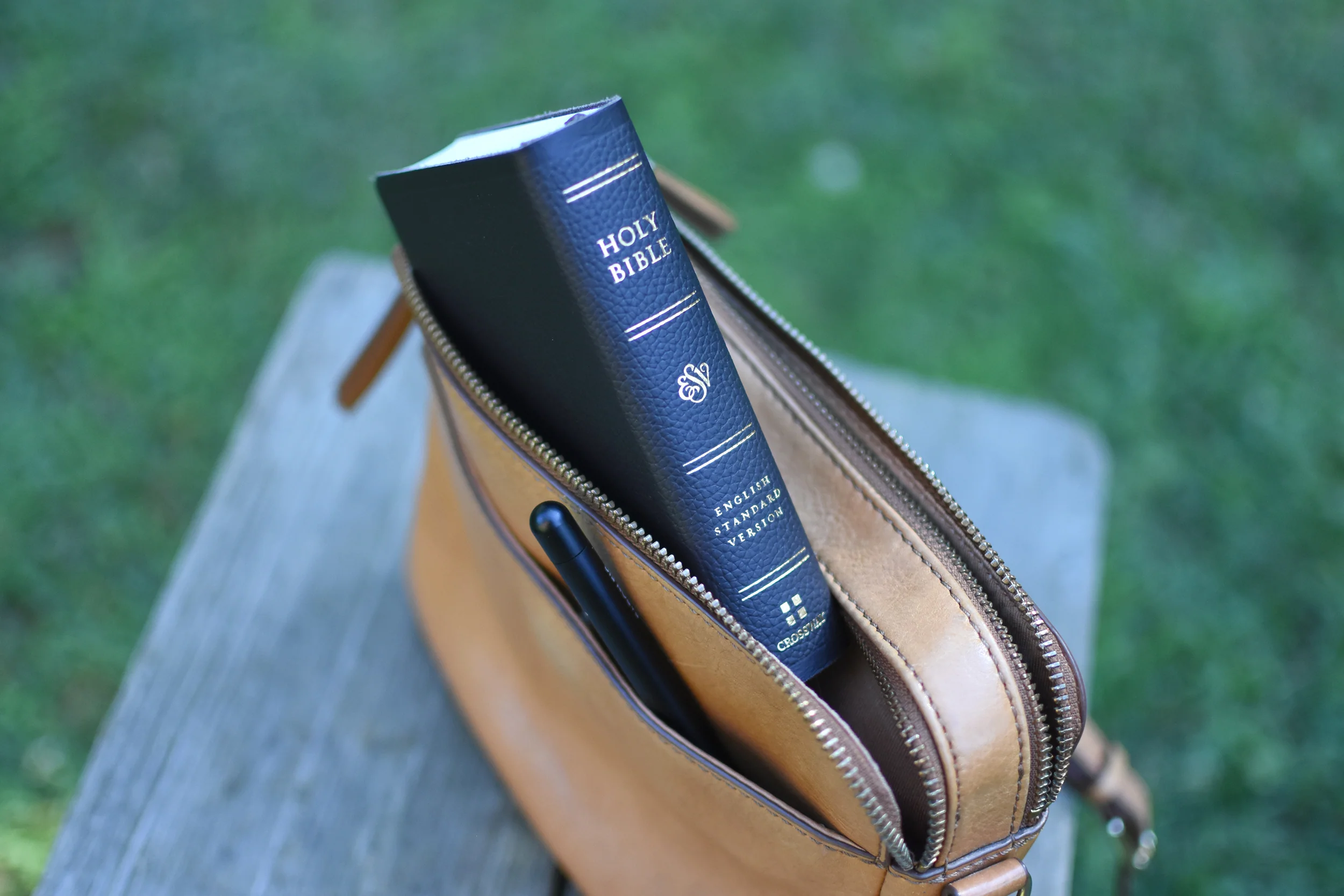 ESV Pocket Bible (Trutone, Chestnut) - Image 12