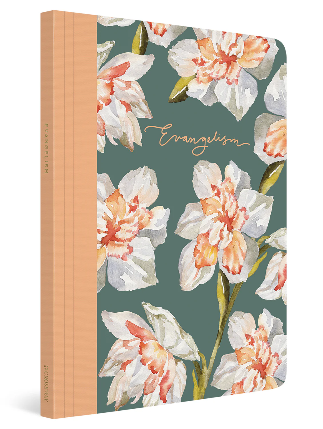 ESV Prayer Journal: 30 Days on Evangelism (Paperback) - Image 2