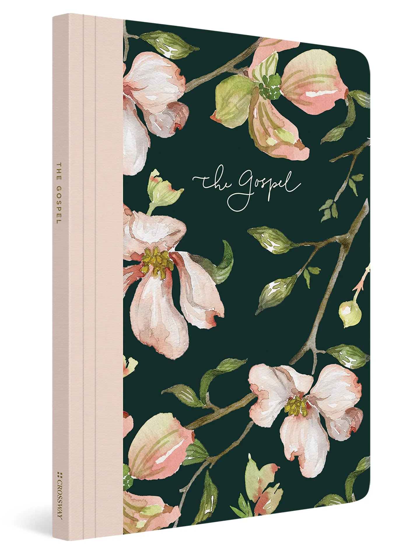 ESV Prayer Journal: 30 Days on the Gospel - Image 2