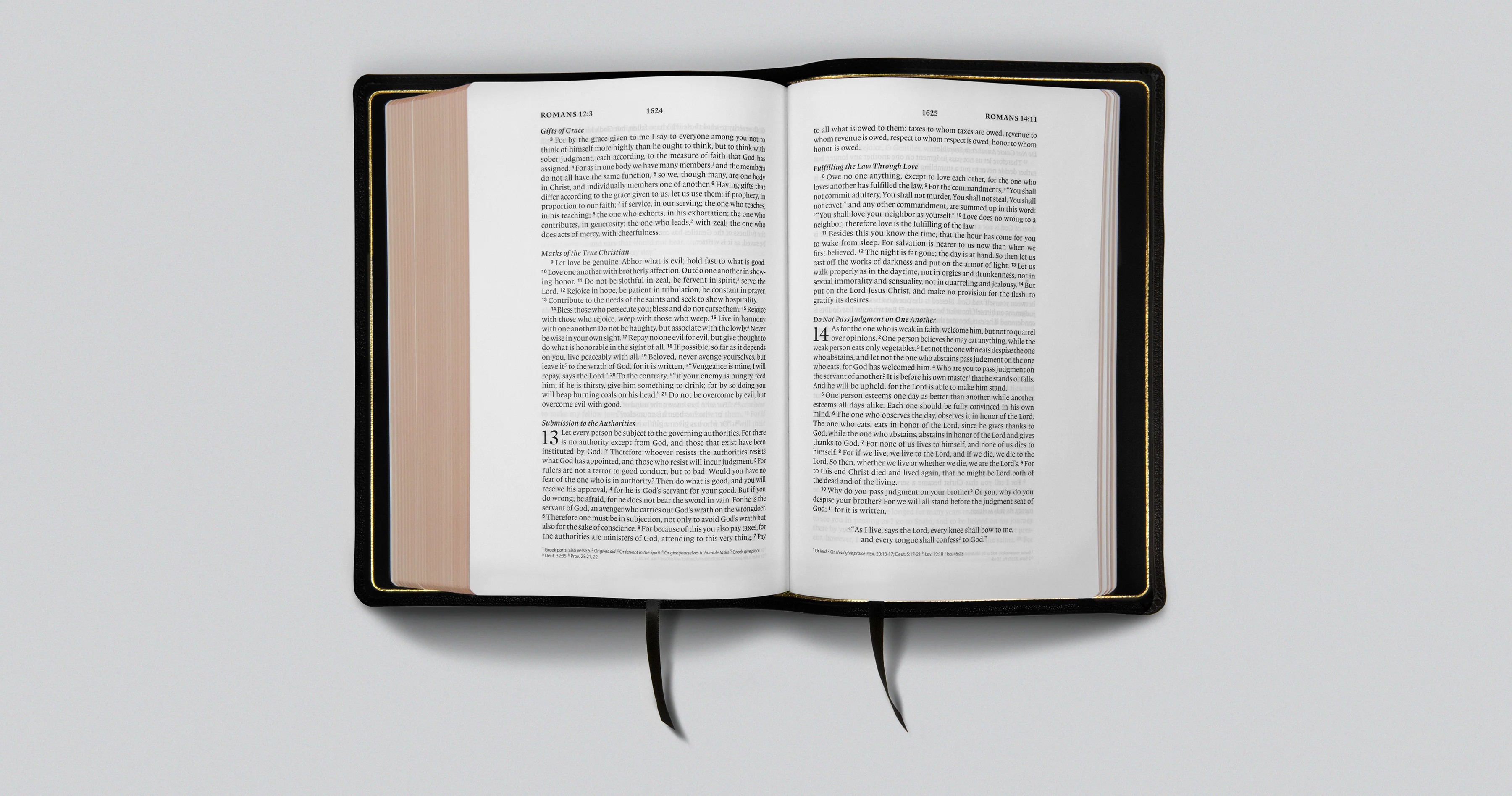 ESV Preaching Bible (Goatskin, Black) - Image 2