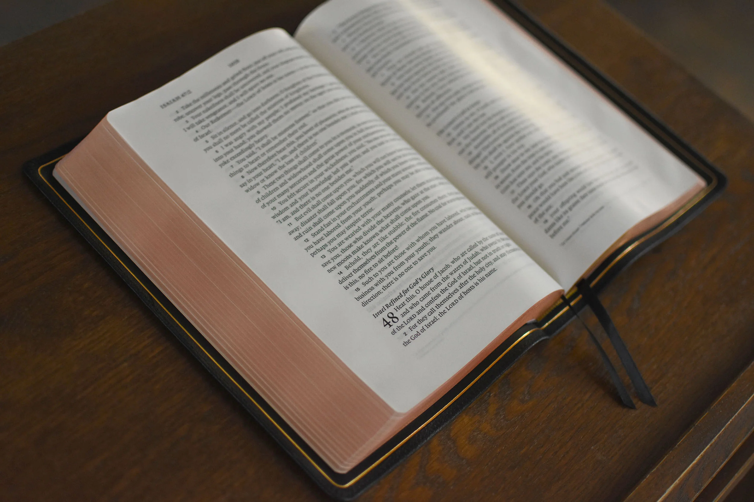 ESV Preaching Bible, Verse-By-Verse Edition (Goatskin, Black) - Image 2