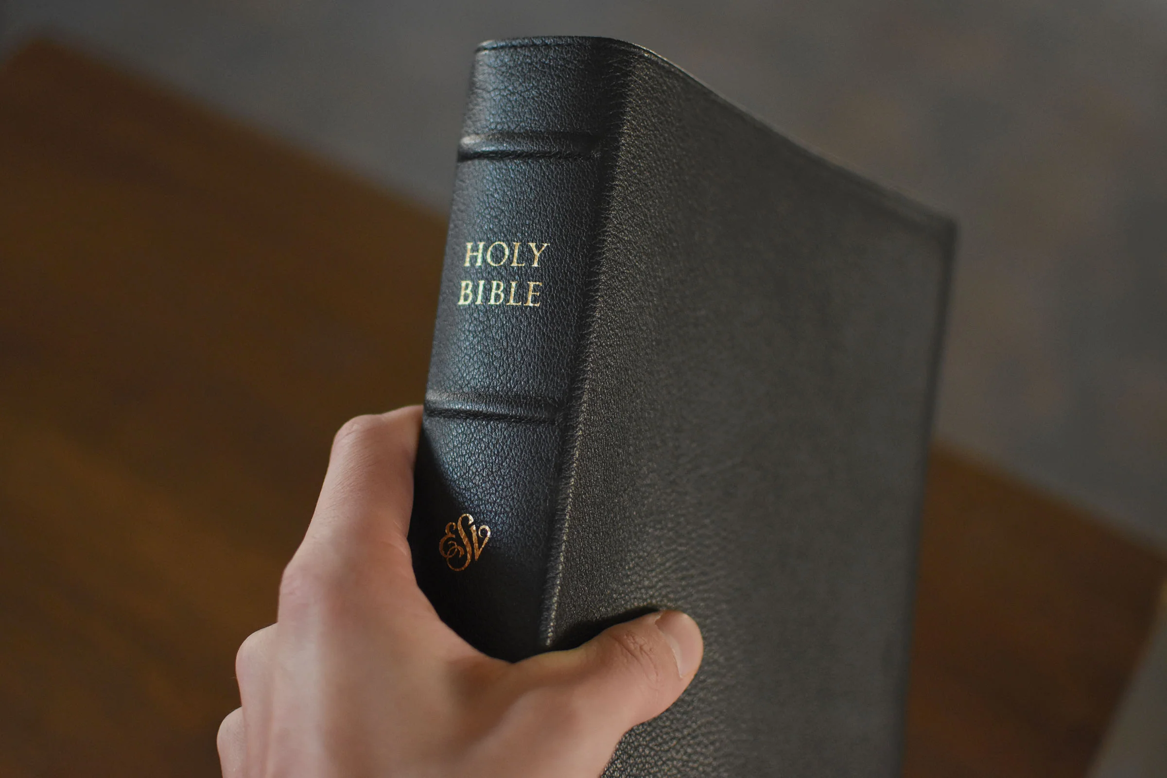 ESV Preaching Bible, Verse-By-Verse Edition (Goatskin, Black) - Image 4