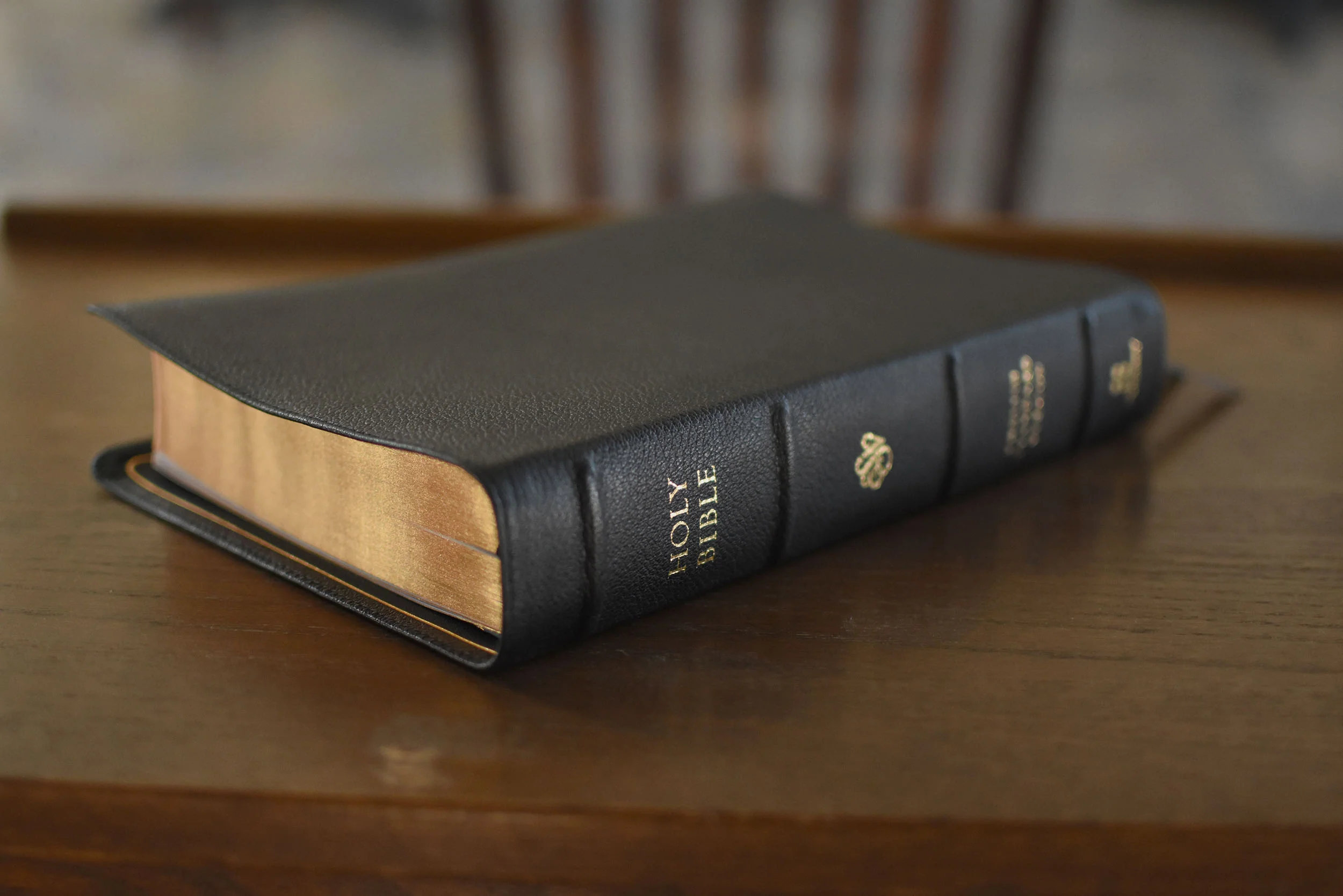 ESV Preaching Bible, Verse-By-Verse Edition (Goatskin, Black) - Image 5
