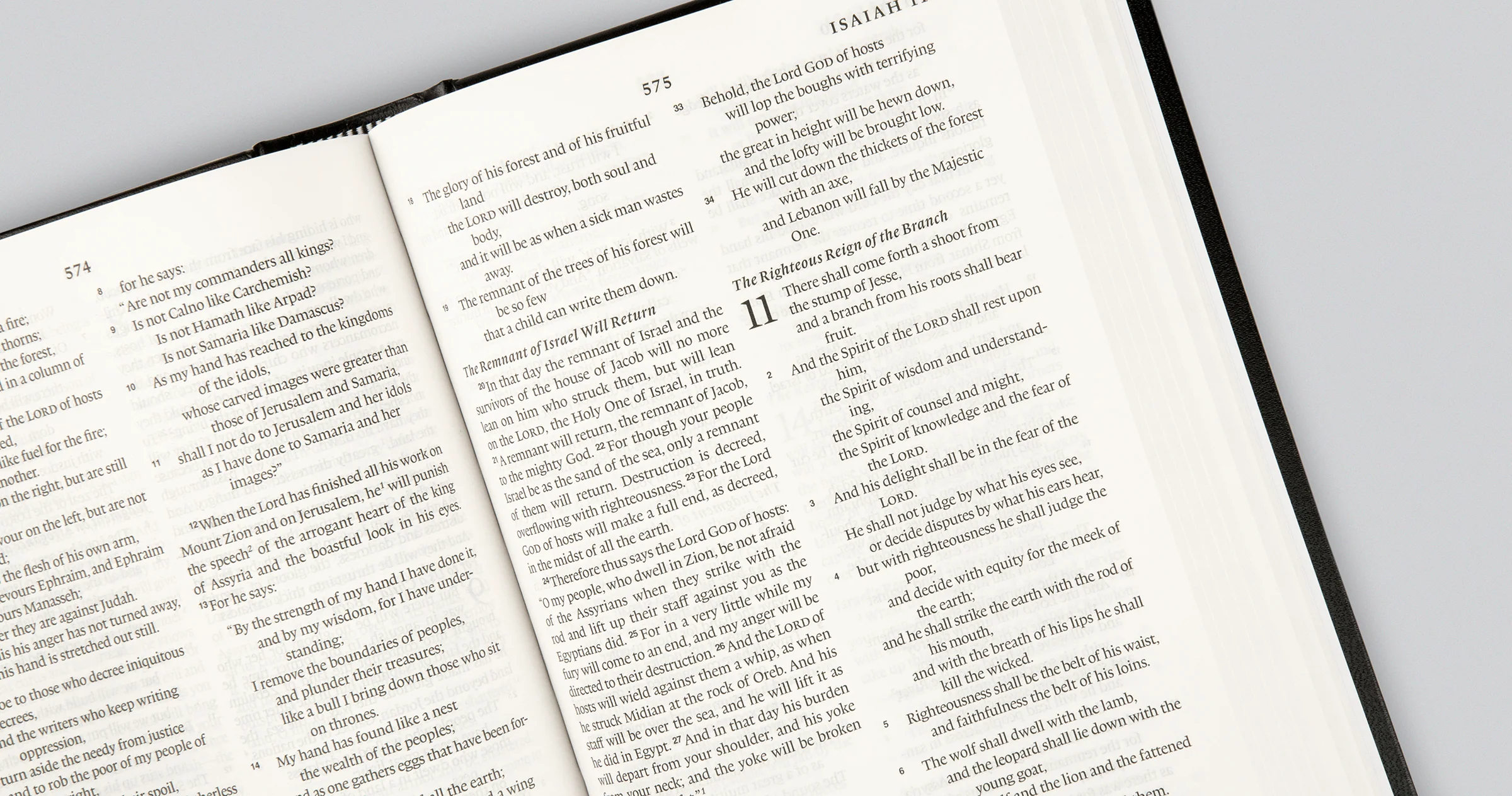 ESV Premium Pew and Worship Bible (Hardcover, Blue) - Image 4