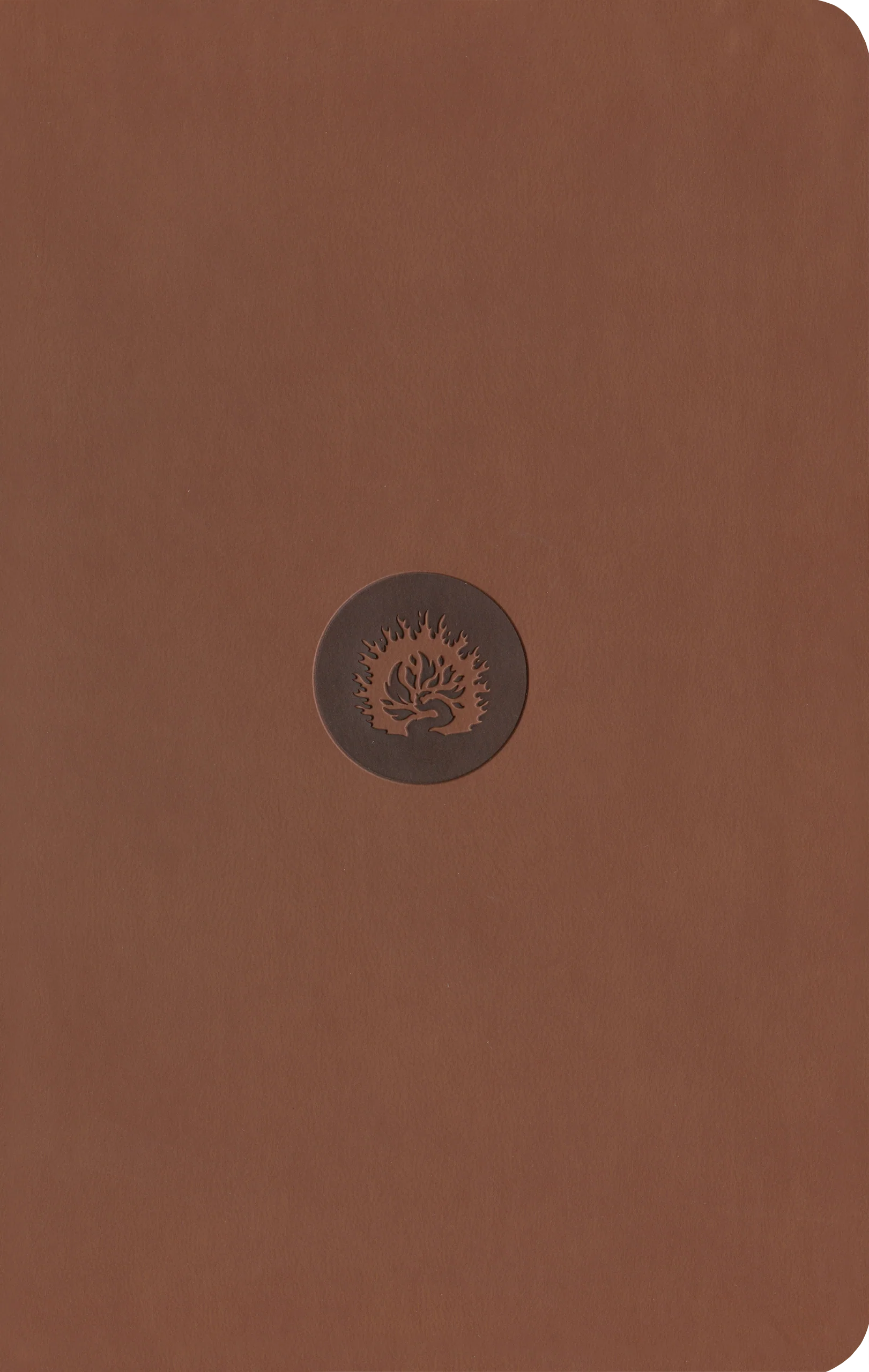 ESV Reformation Study Bible, Student Edition - Brown, Leather-Like