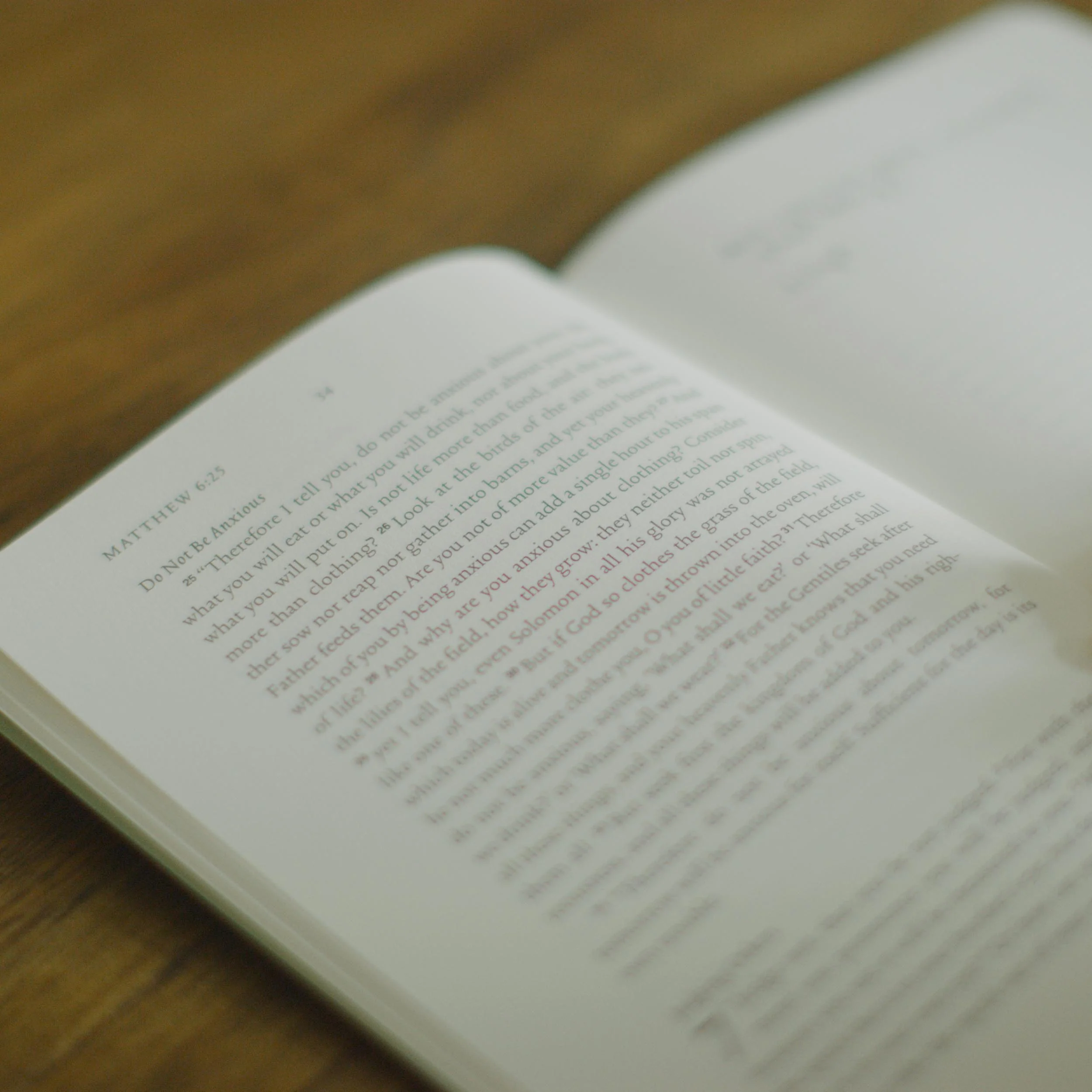 ESV Scripture Journal: New Testament Set (Artwork by Ruth Chou Simons) - Image 9