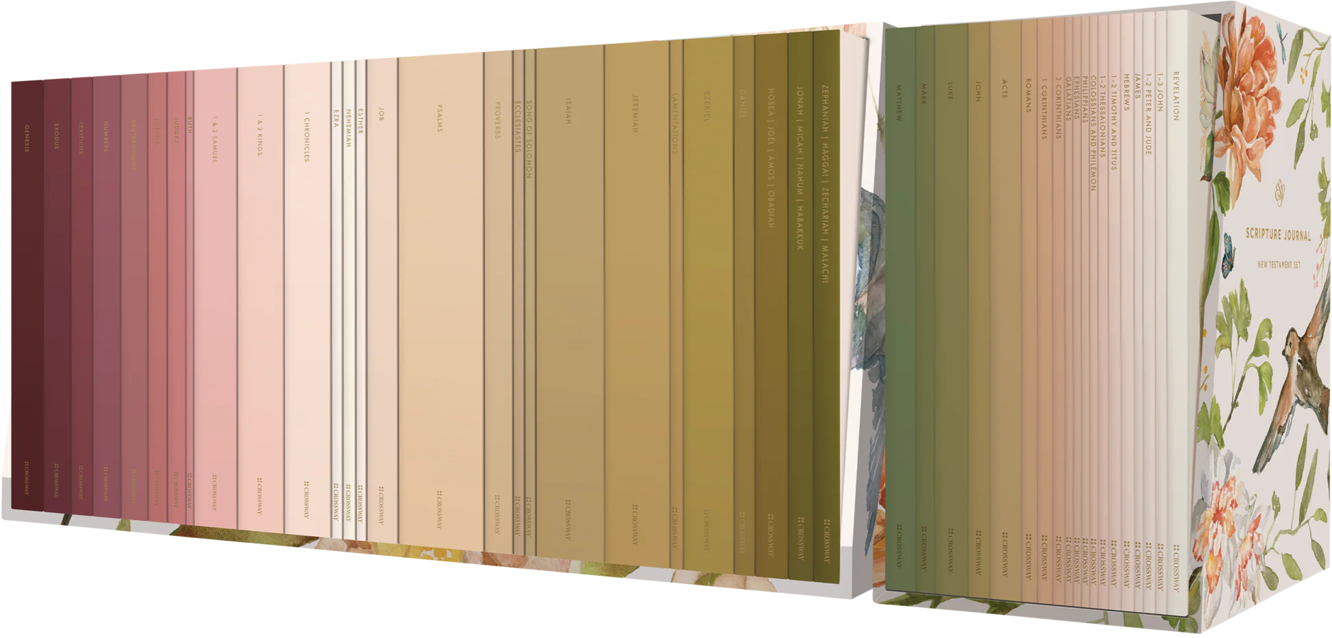 ESV Scripture Journal: Old and New Testament Sets (Artwork by Ruth Chou Simons) (Paperback)