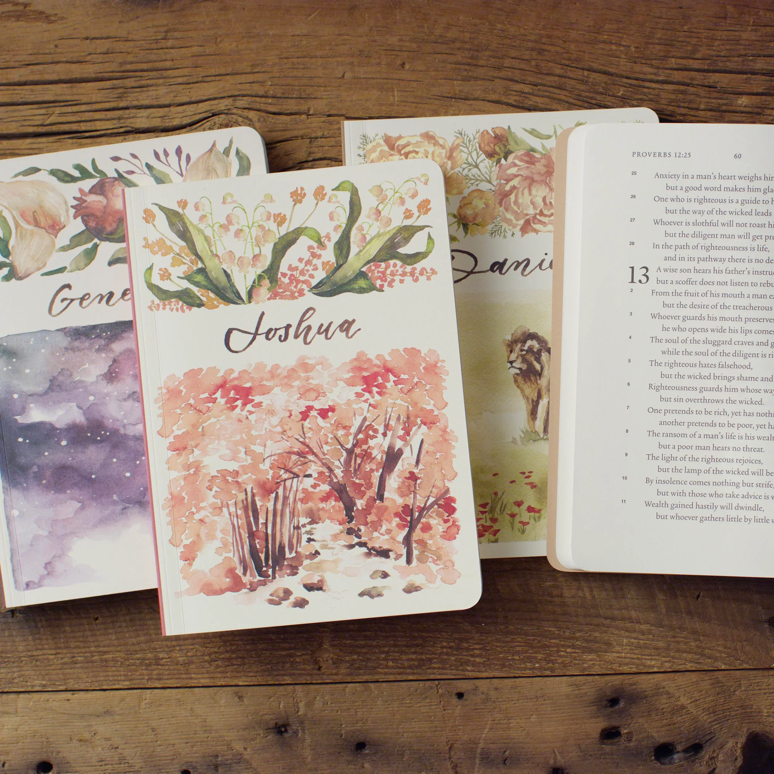 ESV Scripture Journal: Old and New Testament Sets (Artwork by Ruth Chou Simons) (Paperback) - Image 2