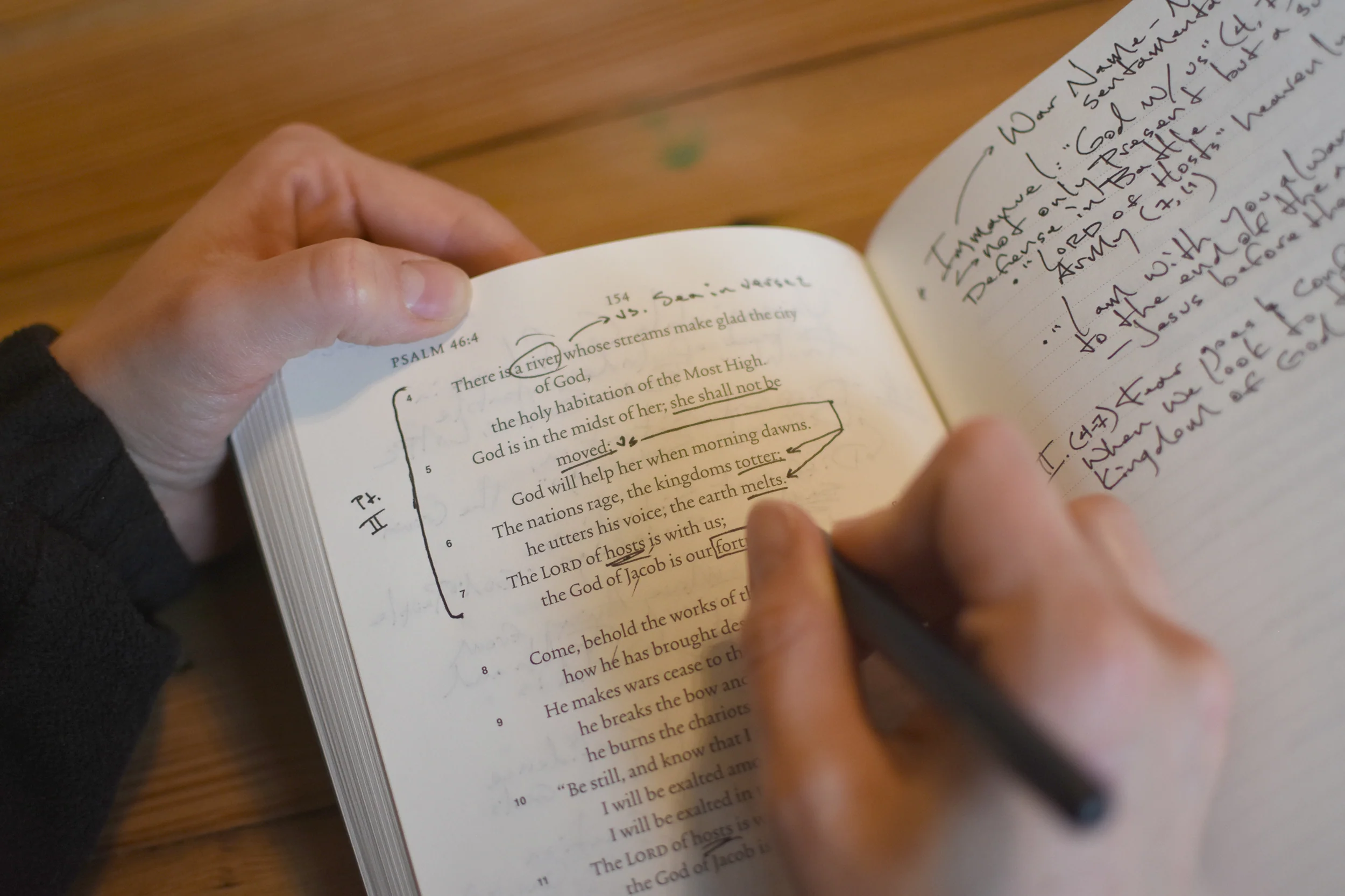 ESV Scripture Journal: Psalms - Image 3