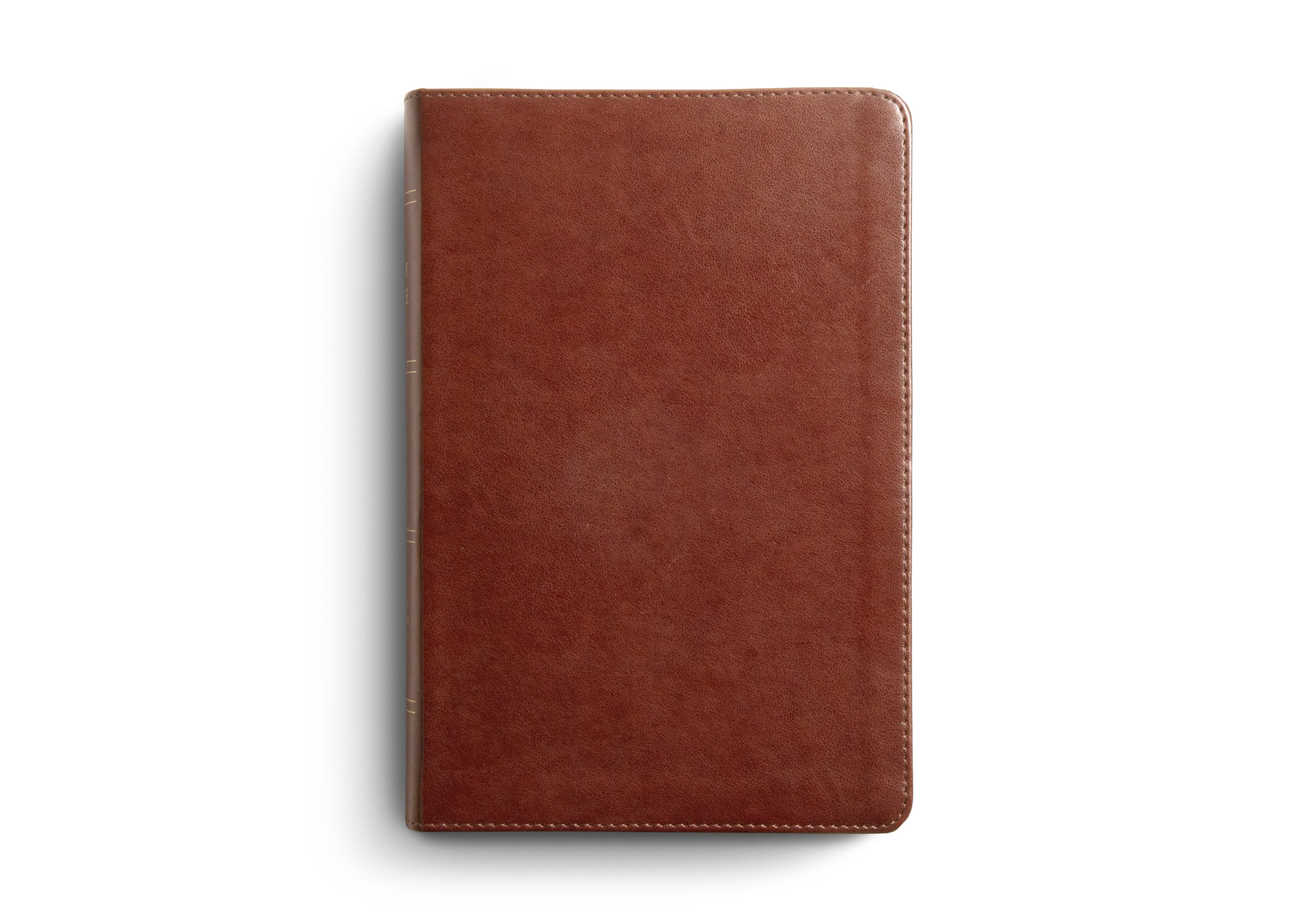 ESV Single Column Heritage Bible (Trutone, Chestnut) - Image 3