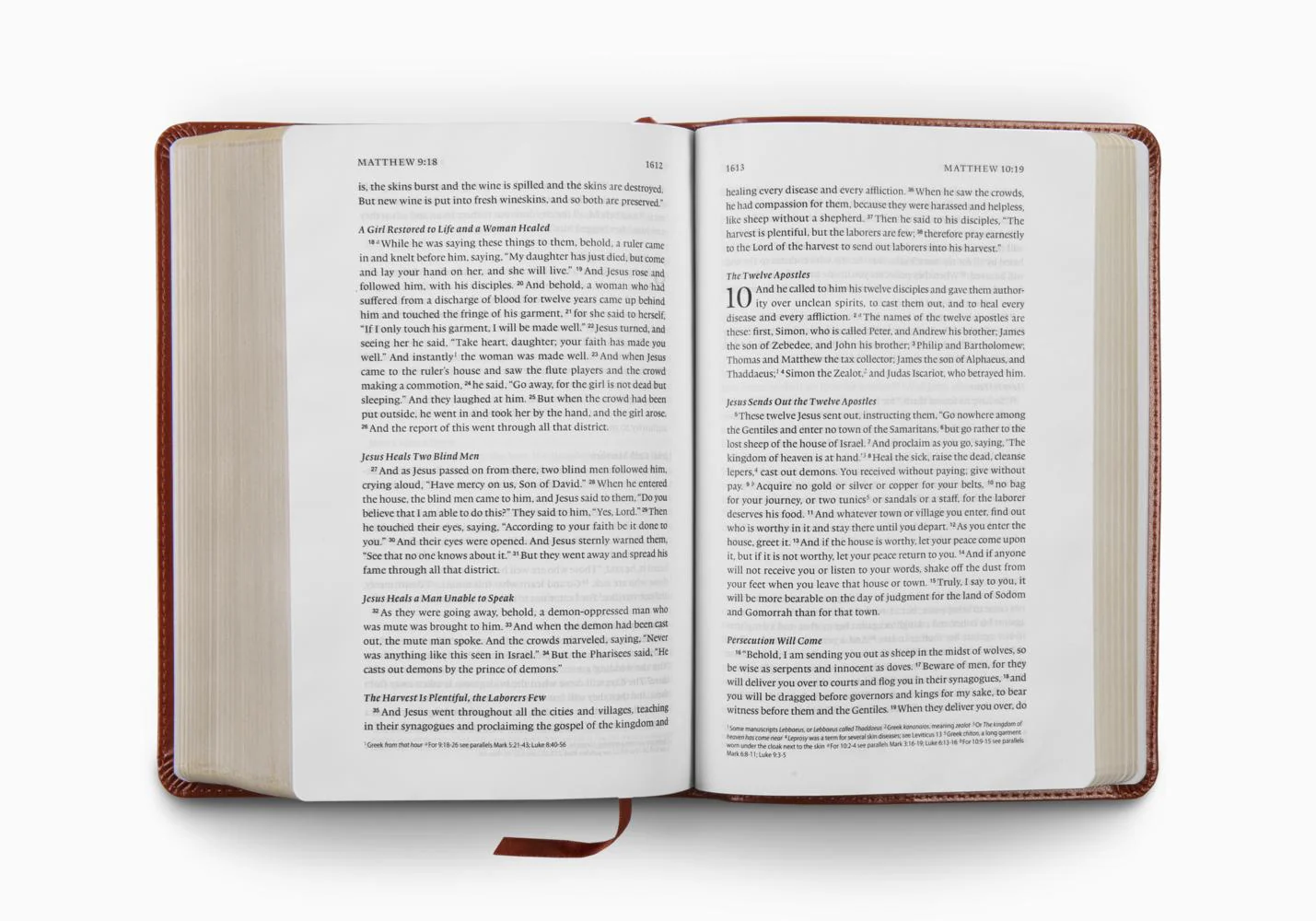 ESV Single Column Heritage Bible (Trutone, Chestnut) - Image 4