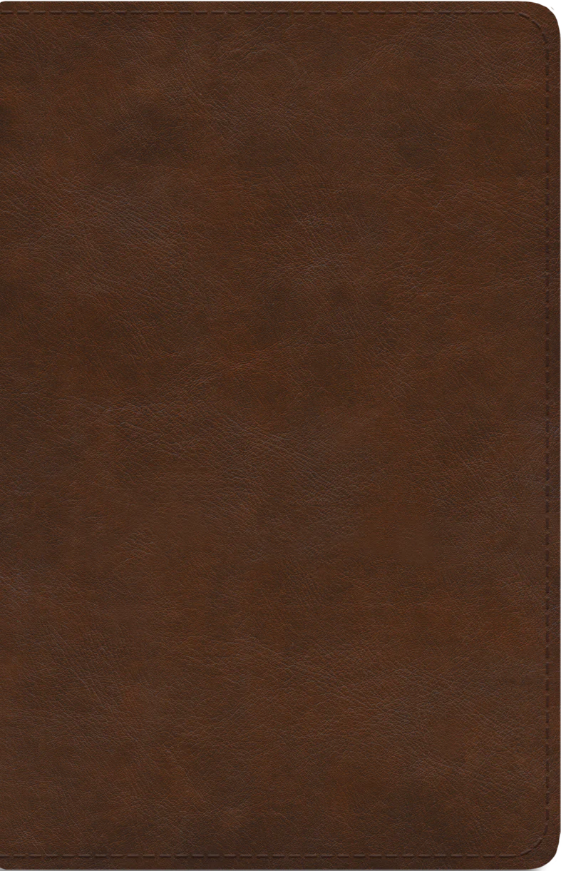 ESV Spanish/English Parallel Bible (La Santa Biblia Rvr / The Holy Bible Esv, Trutone, Brown)