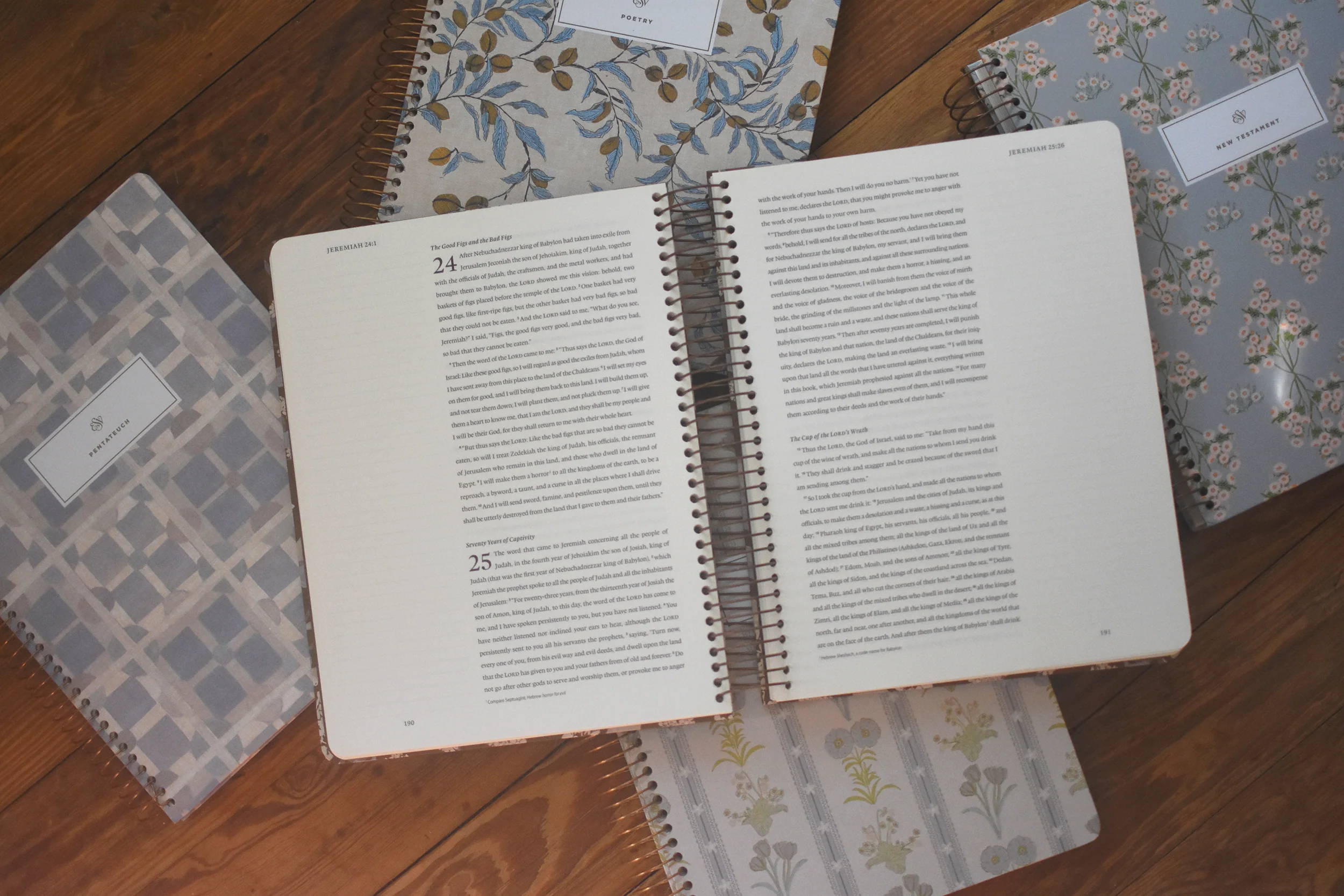 ESV Spiral-Bound Journaling Bible, Five-Volume Set (Hardcover, Cover Artwork by Lulie Wallace) - Image 2