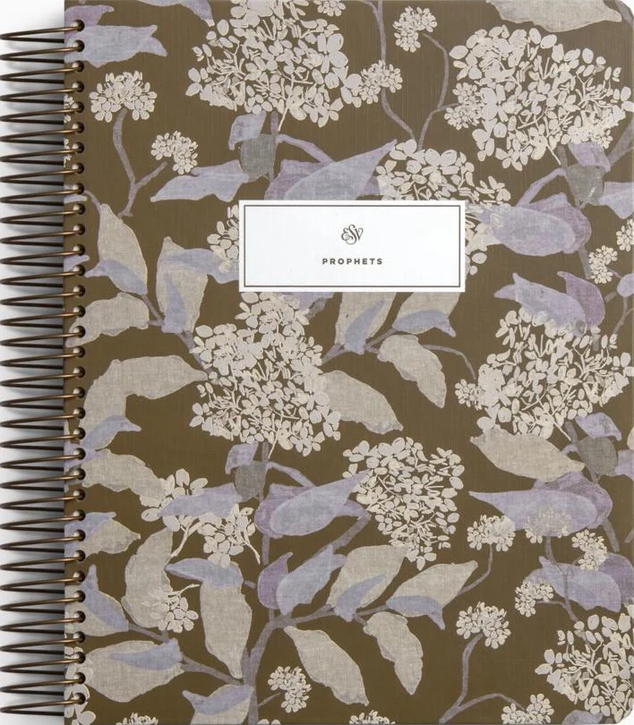 ESV Spiral-Bound Journaling Bible, Prophets (Hardcover, Cover Artwork by Lulie Wallace)