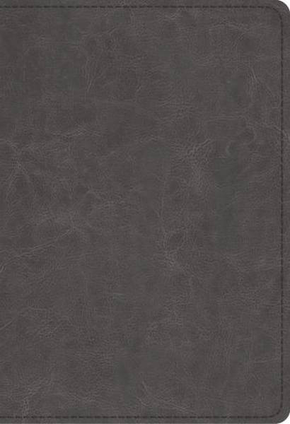 ESV Student Study Bible (TruTone, Gray)