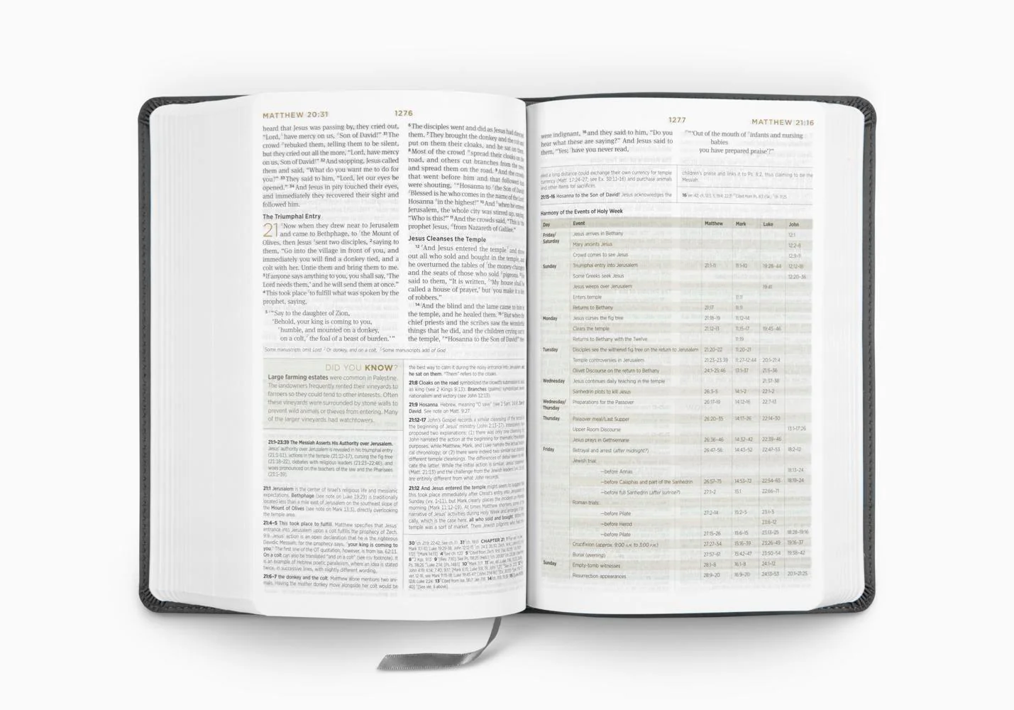 ESV Student Study Bible (TruTone, Gray) - Image 5