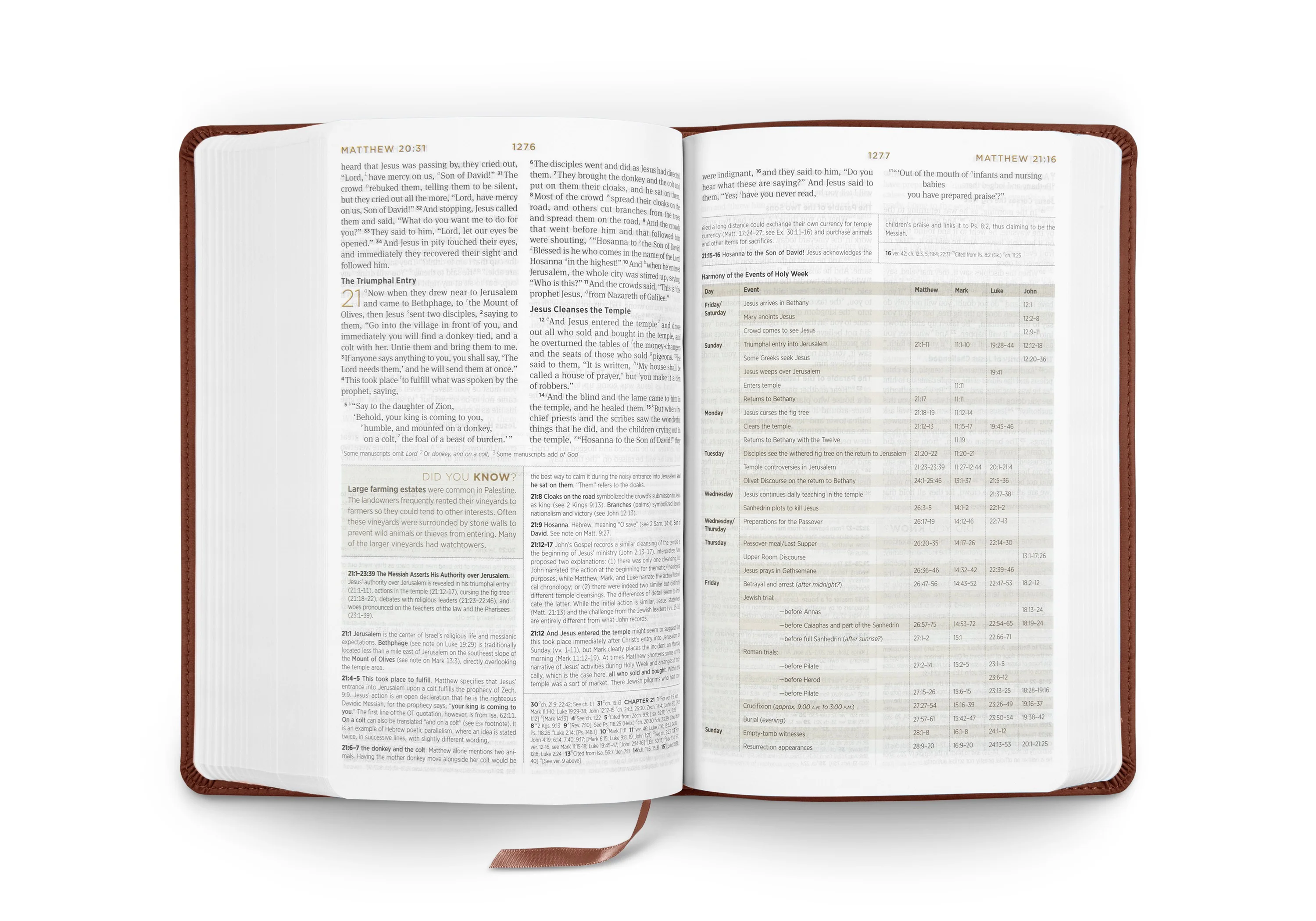ESV Student Study Bible (TruTone, Chestnut) - Image 3