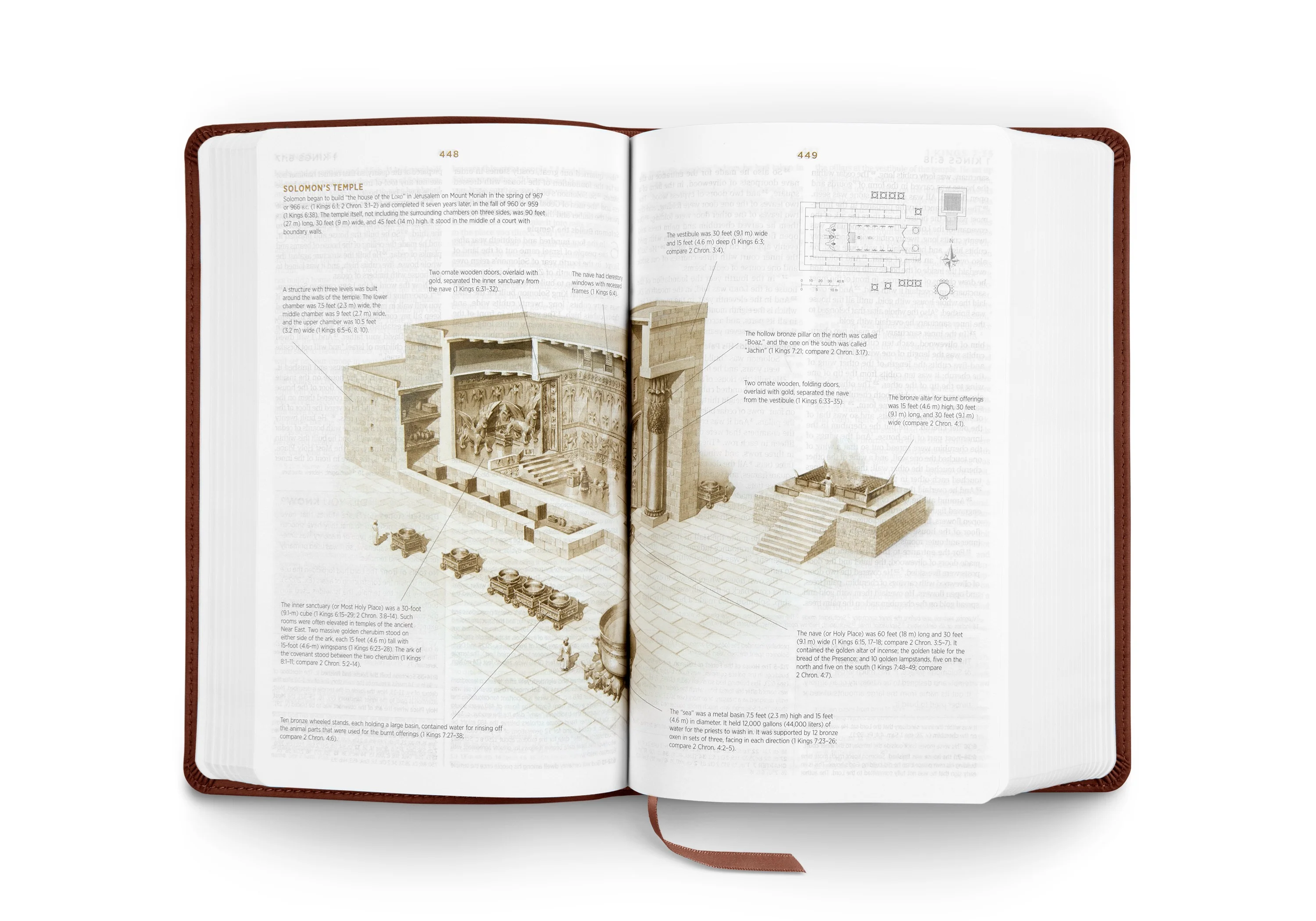 ESV Student Study Bible (TruTone, Chestnut) - Image 7