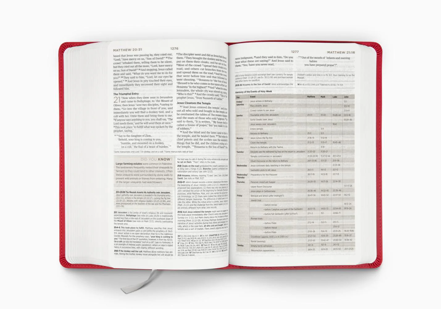 ESV Student Study Bible (Trutone, Berry, Floral Design) - Image 2