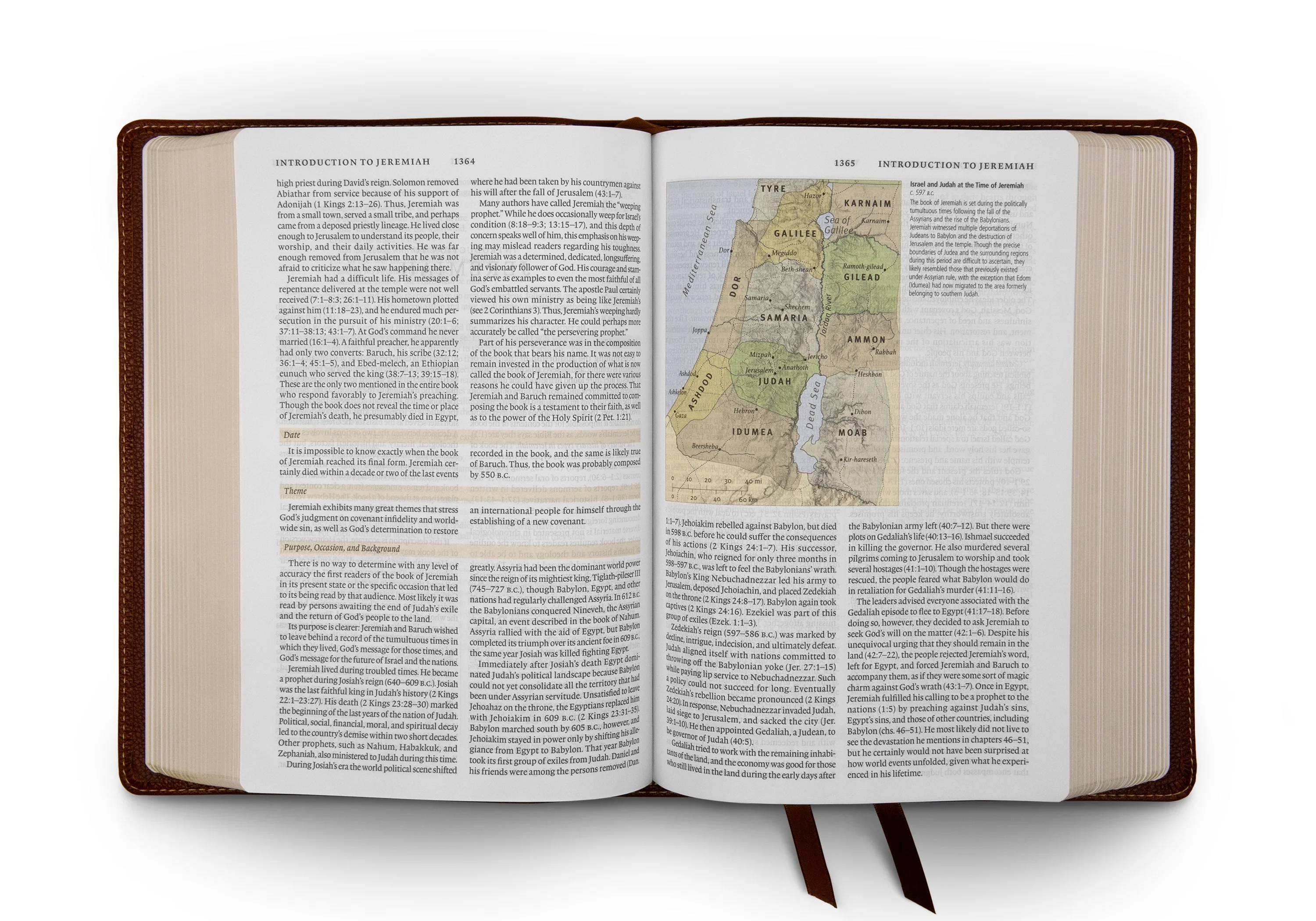 ESV Study Bible (Cowhide, Deep Brown) - Image 3