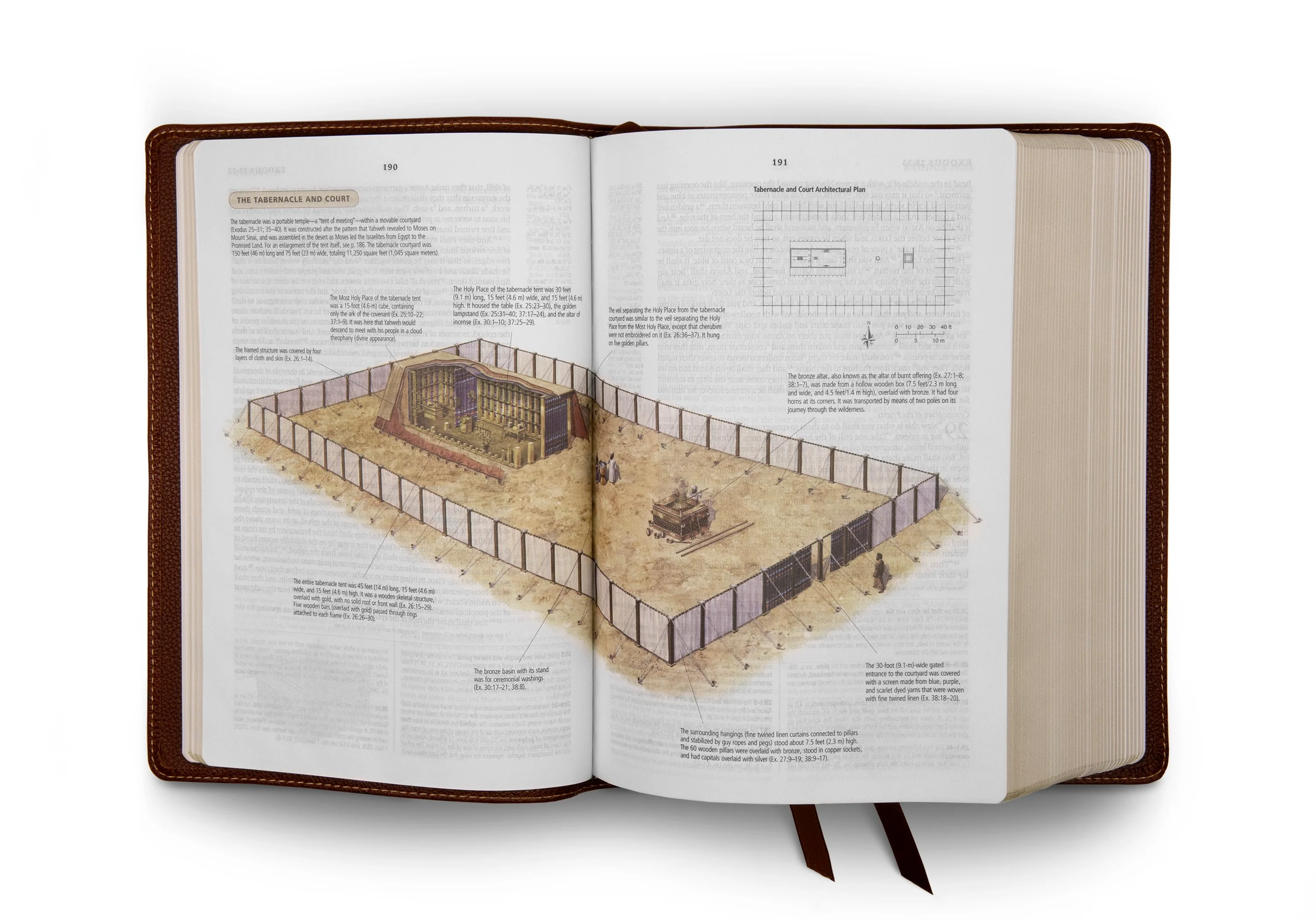 ESV Study Bible (Cowhide, Deep Brown) - Image 7