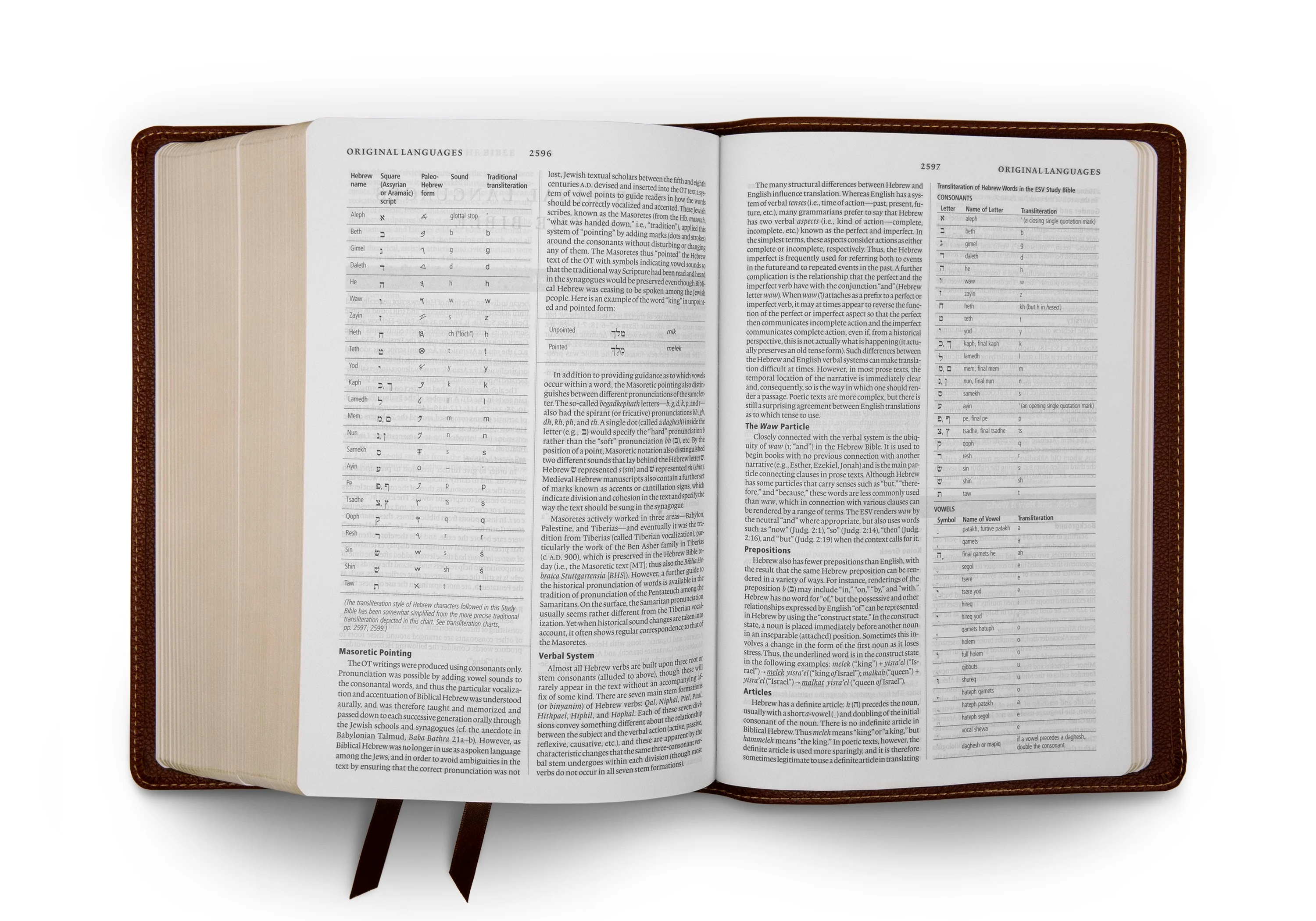 ESV Study Bible (Cowhide, Deep Brown) - Image 9