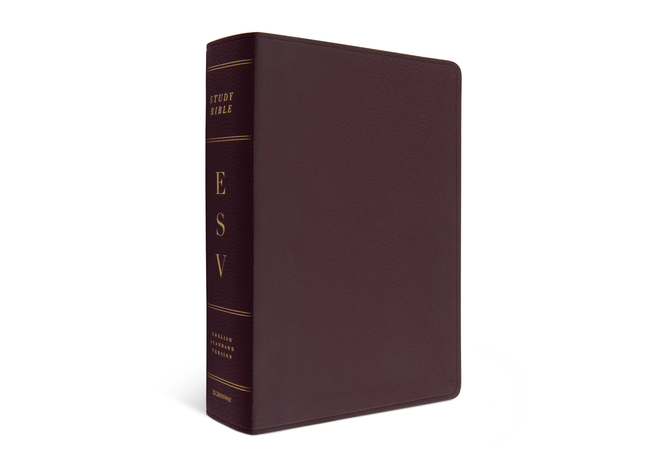 ESV Study Bible, Large Print (Burgundy) - Image 2