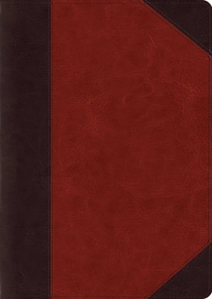 ESV Study Bible, Large Print (TruTone, Brown/Cordovan, Portfolio Design)