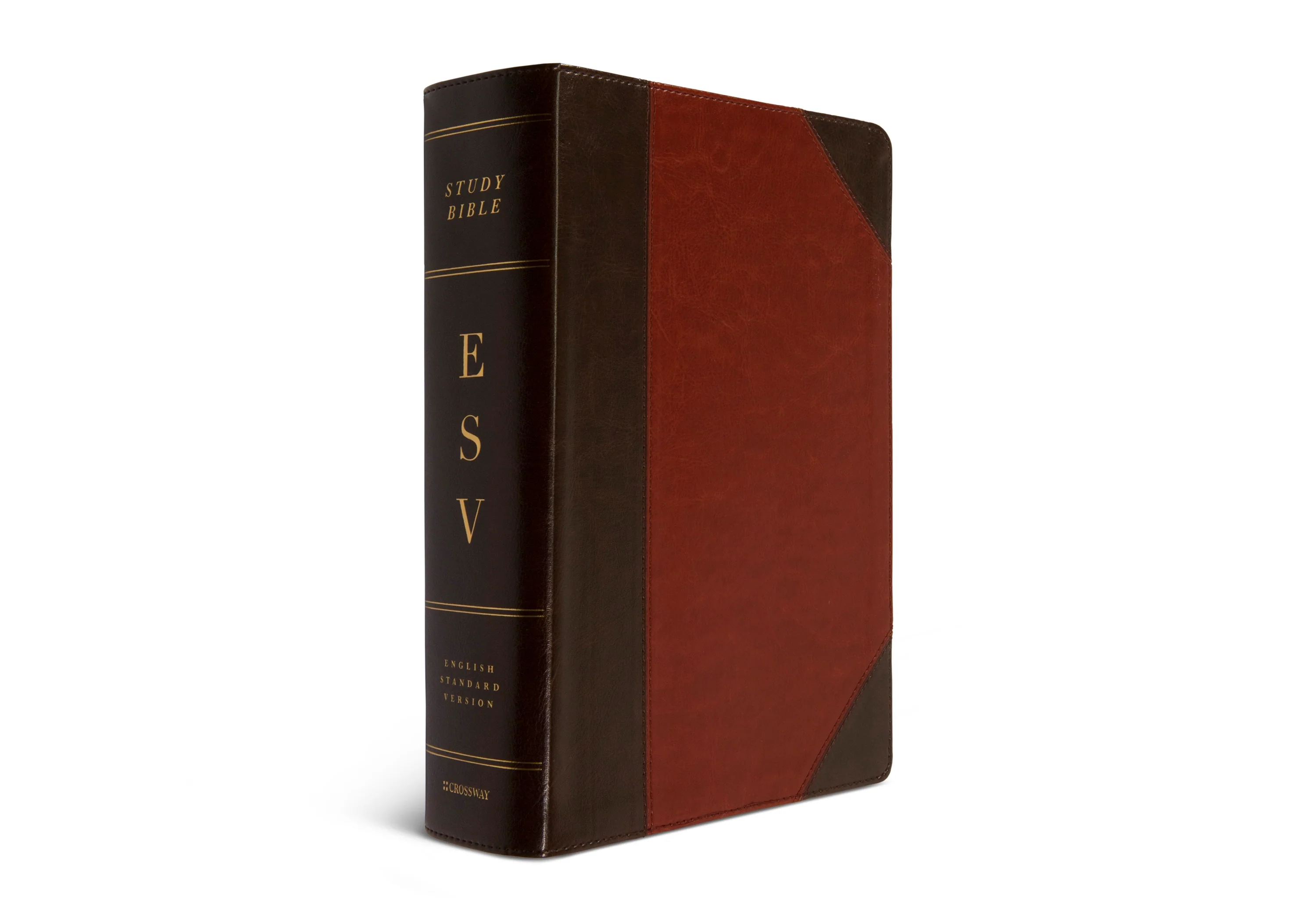 ESV Study Bible, Large Print (TruTone, Brown/Cordovan, Portfolio Design) - Image 2
