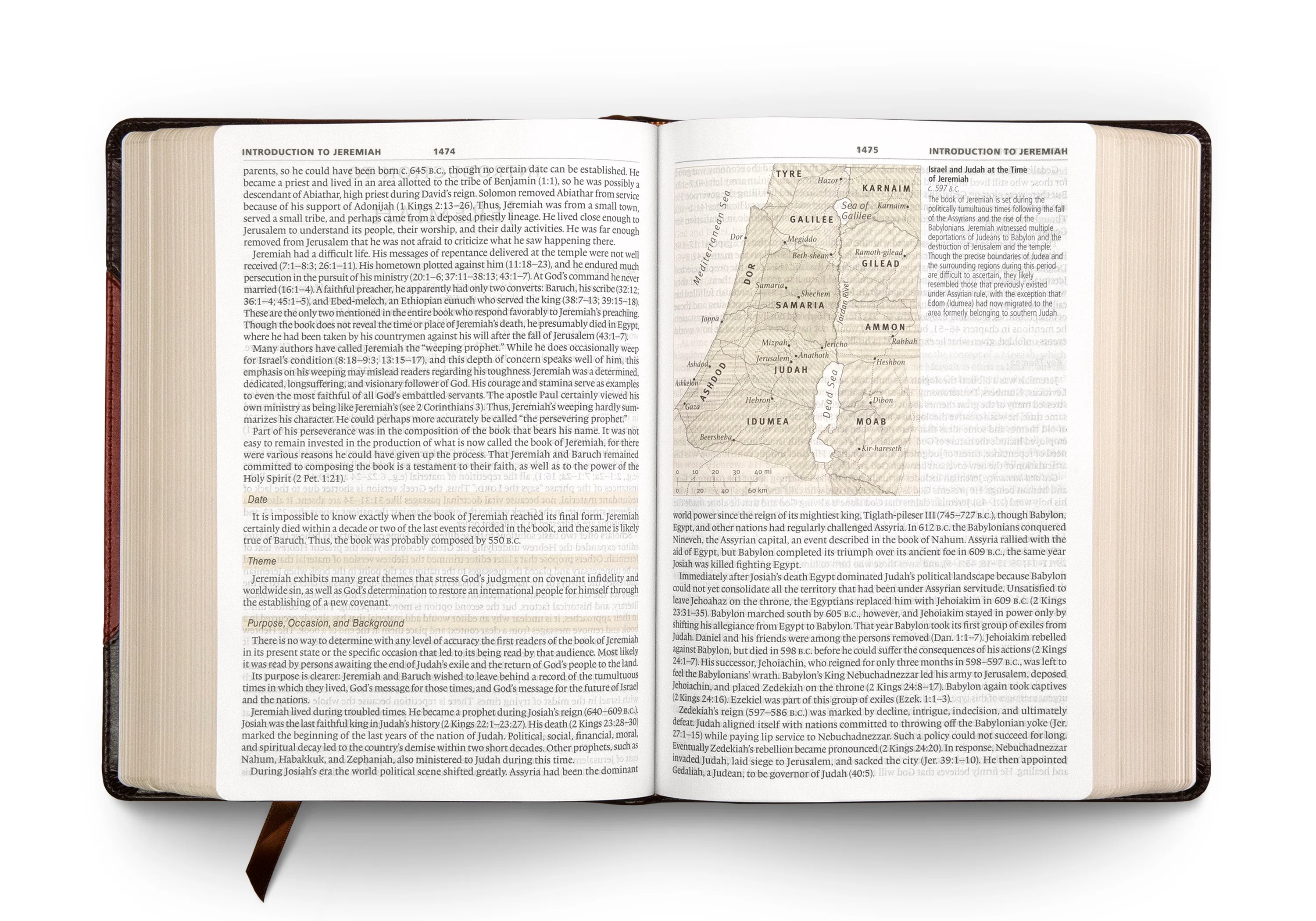 ESV Study Bible, Large Print (TruTone, Brown/Cordovan, Portfolio Design) - Image 3