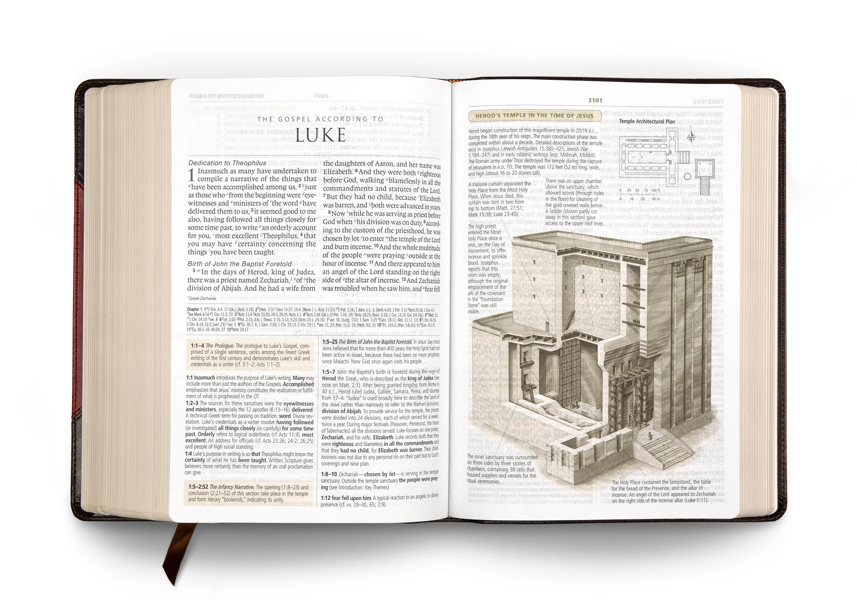 ESV Study Bible, Large Print (TruTone, Brown/Cordovan, Portfolio Design) - Image 5